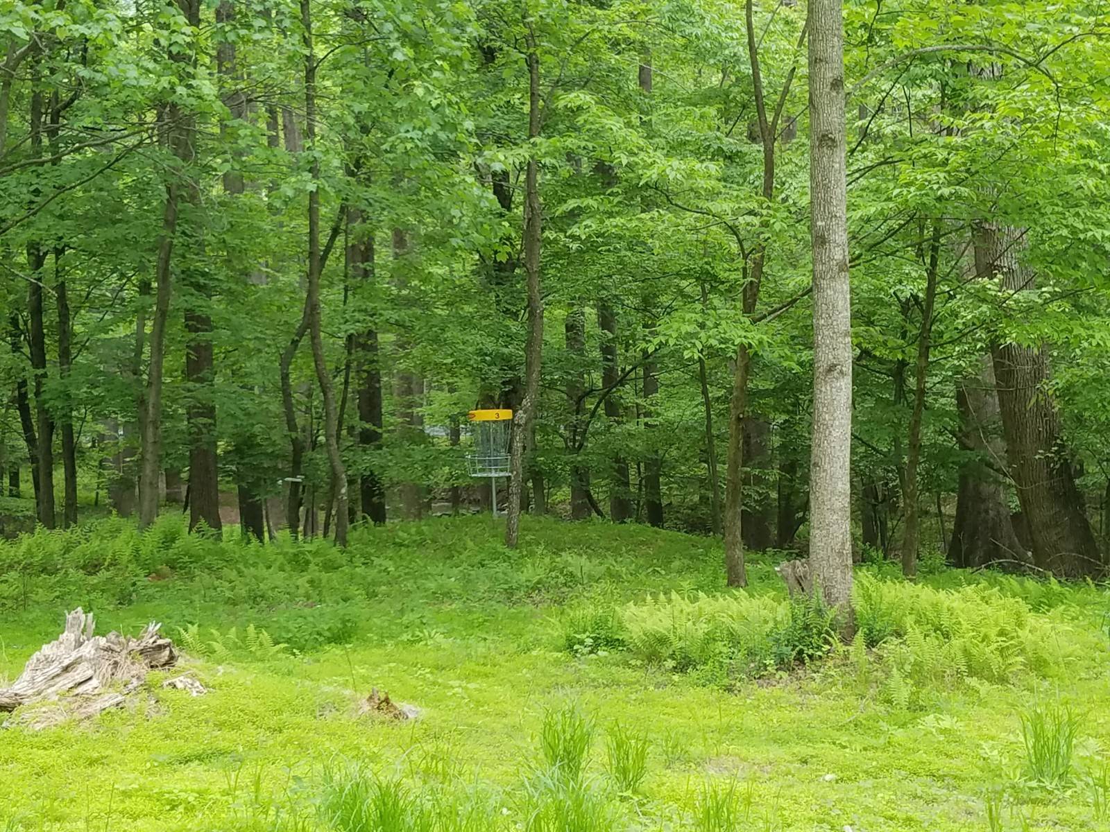 Hole 3 • Cove Valley Christian Youth Camp (Mercersburg, PA) Disc Golf