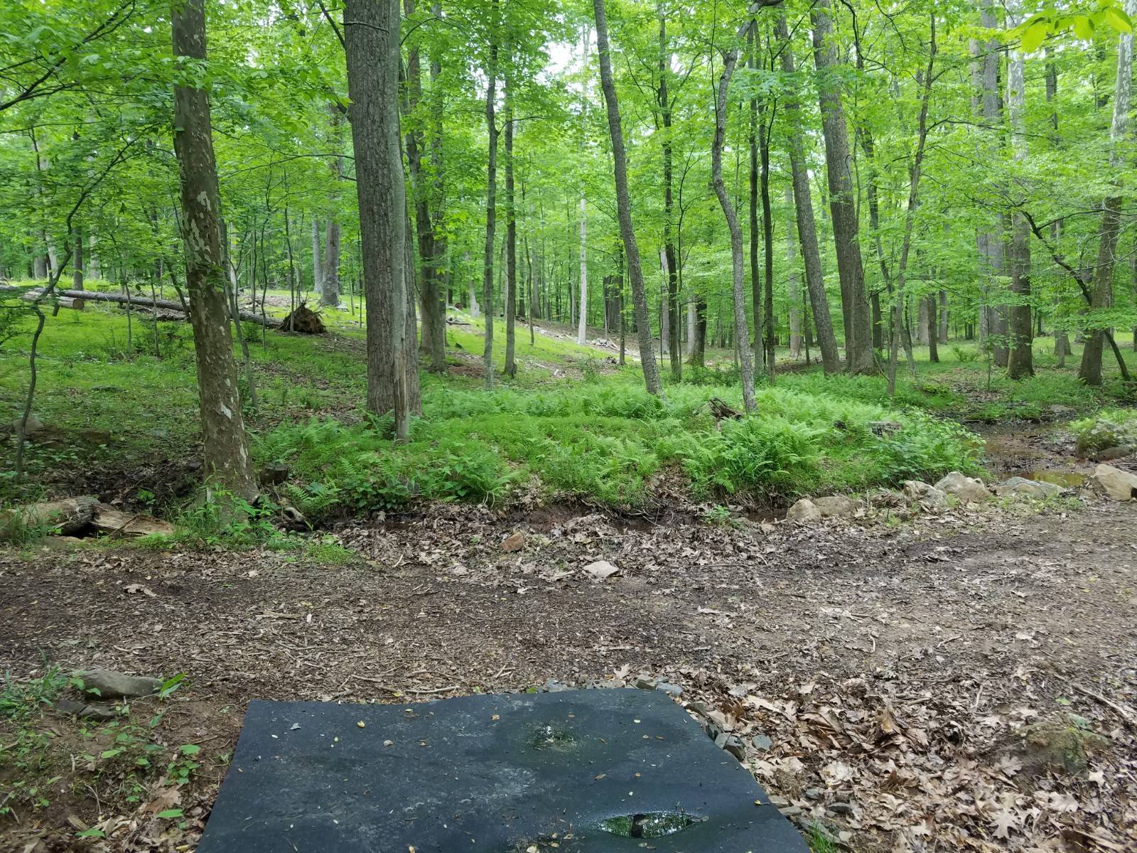 Hole 4 • Cove Valley Christian Youth Camp (Mercersburg, PA) Disc Golf