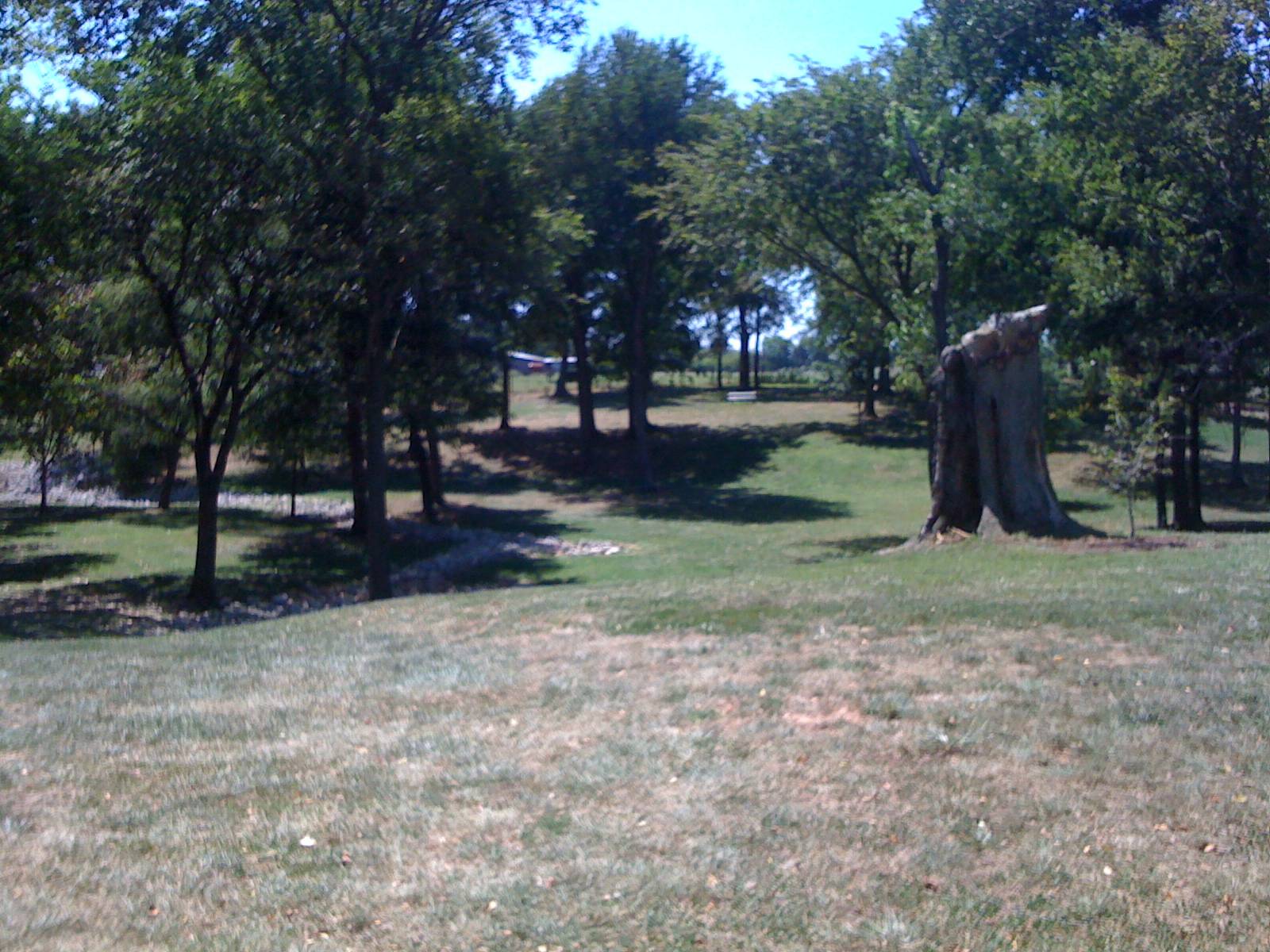 Hole 4 • Lovers Lane Park (Bowling Green, KY) Disc Golf Courses