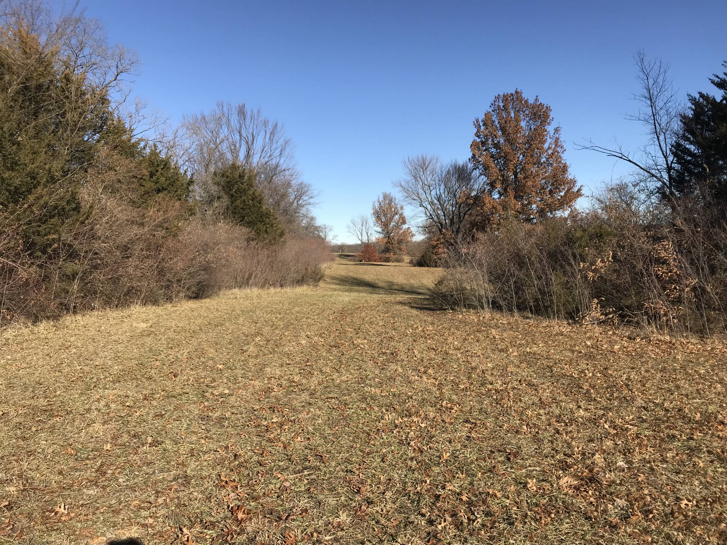 Hole 2 • The Flying Cardinal (Lawson, MO) Disc Golf Courses Disc