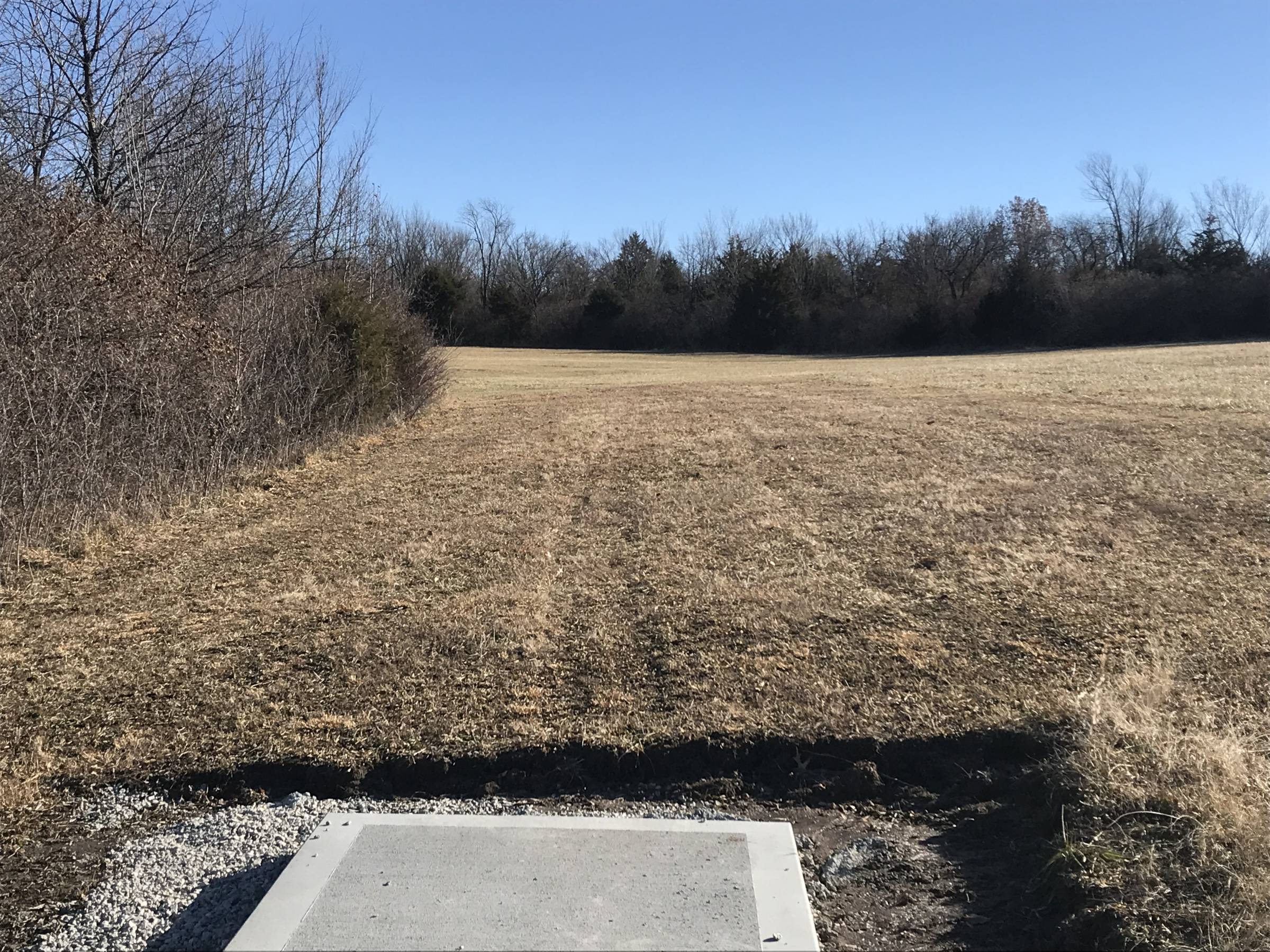 Hole 8 • The Flying Cardinal (Lawson, MO) Disc Golf Courses Disc