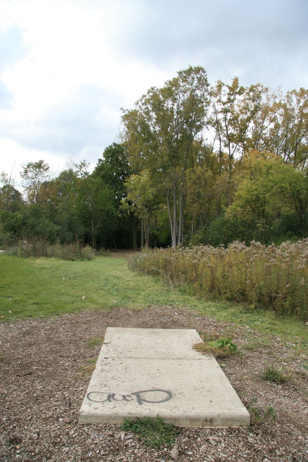 Hole 8 • Bandemer Park (Ann Arbor, MI) Disc Golf Courses Disc Golf