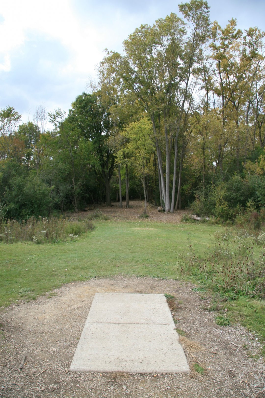 Hole 8 • Bandemer Park (Ann Arbor, MI) Disc Golf Courses Disc Golf