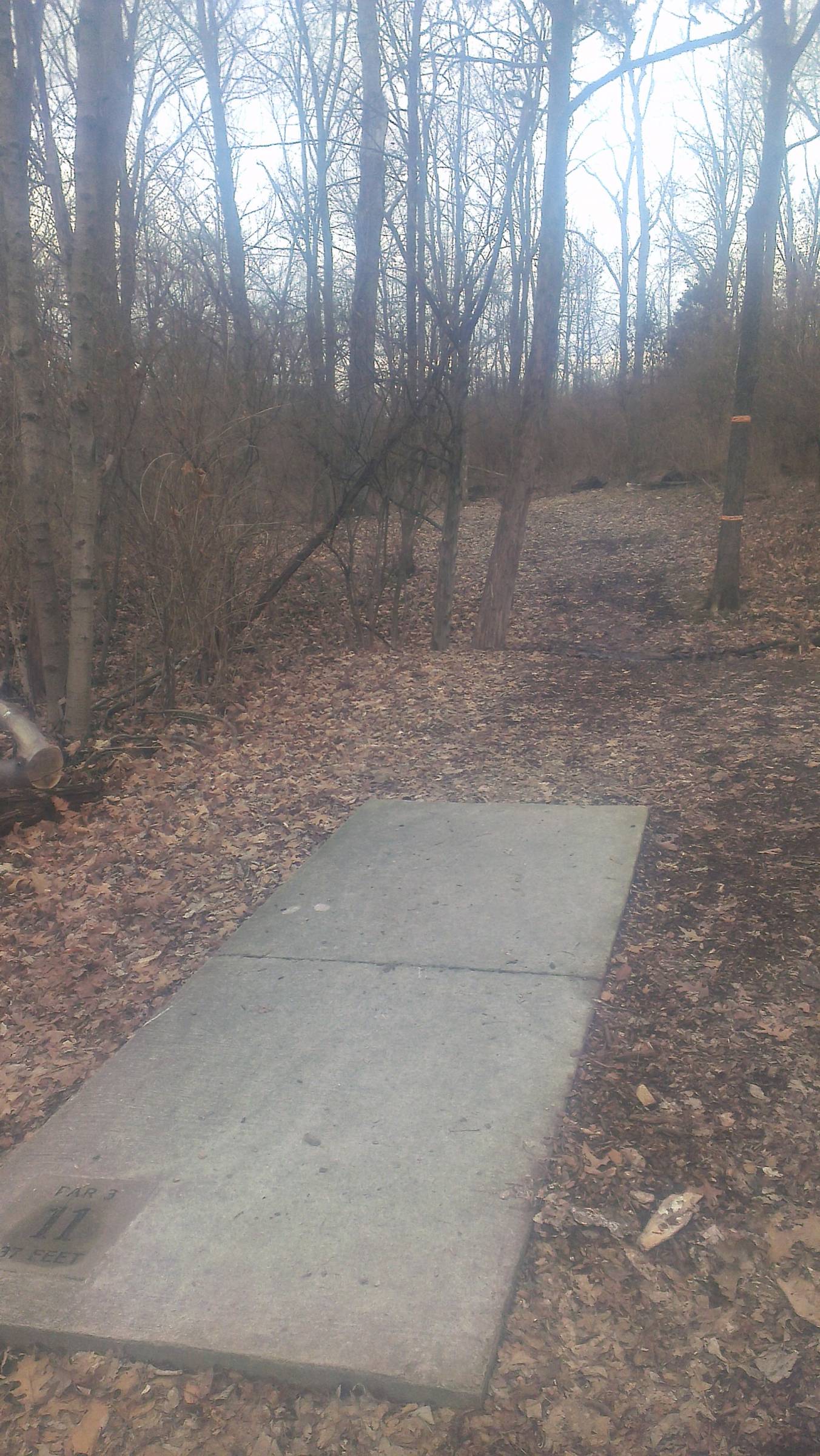 Hole 11 • East Frankfort Park (Frankfort, KY) Disc Golf Courses