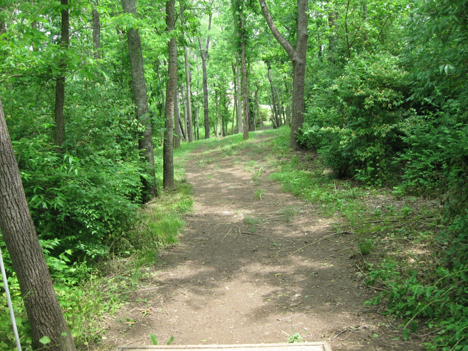 Hole 3 • Veterans Park (Lexington, KY) Disc Golf Courses Disc Golf