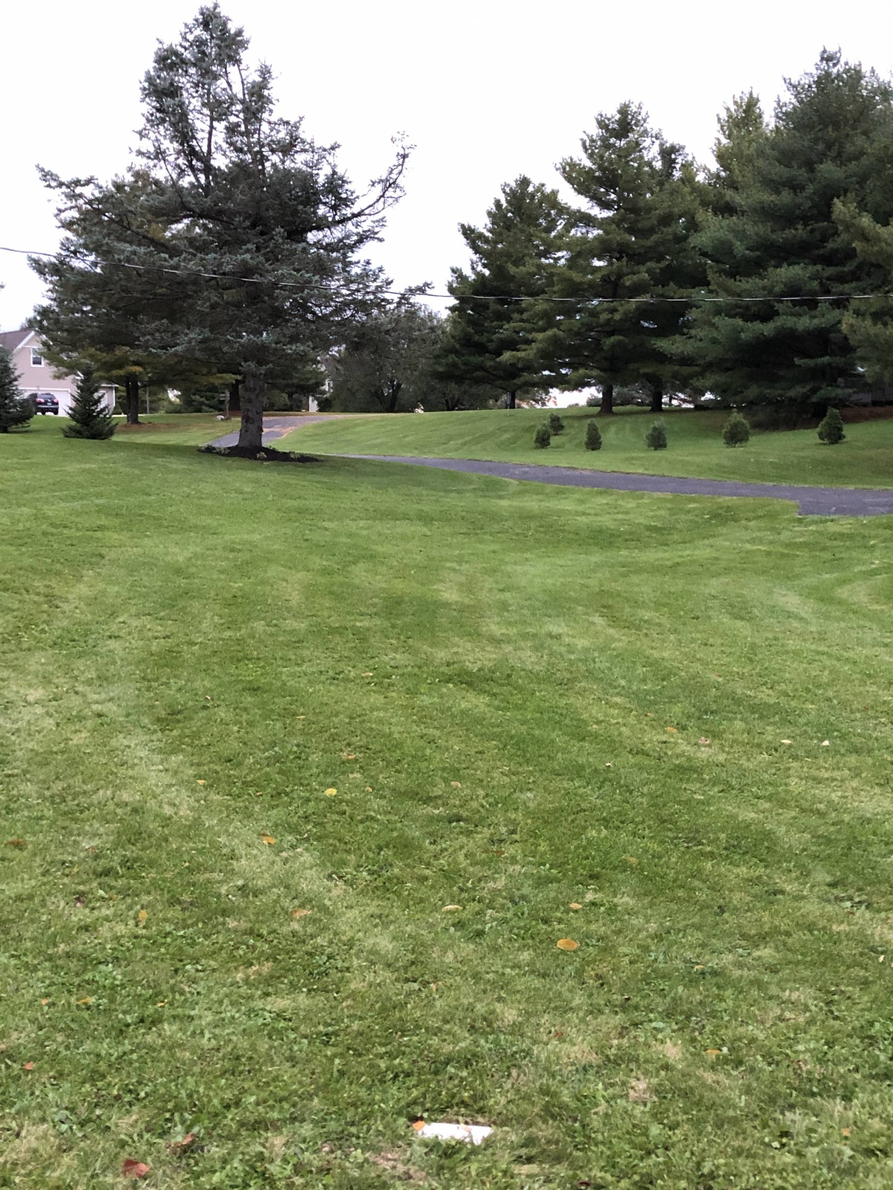 Hole 3 • Rolling Ridge (Caledonia, MI) Disc Golf Courses Disc Golf