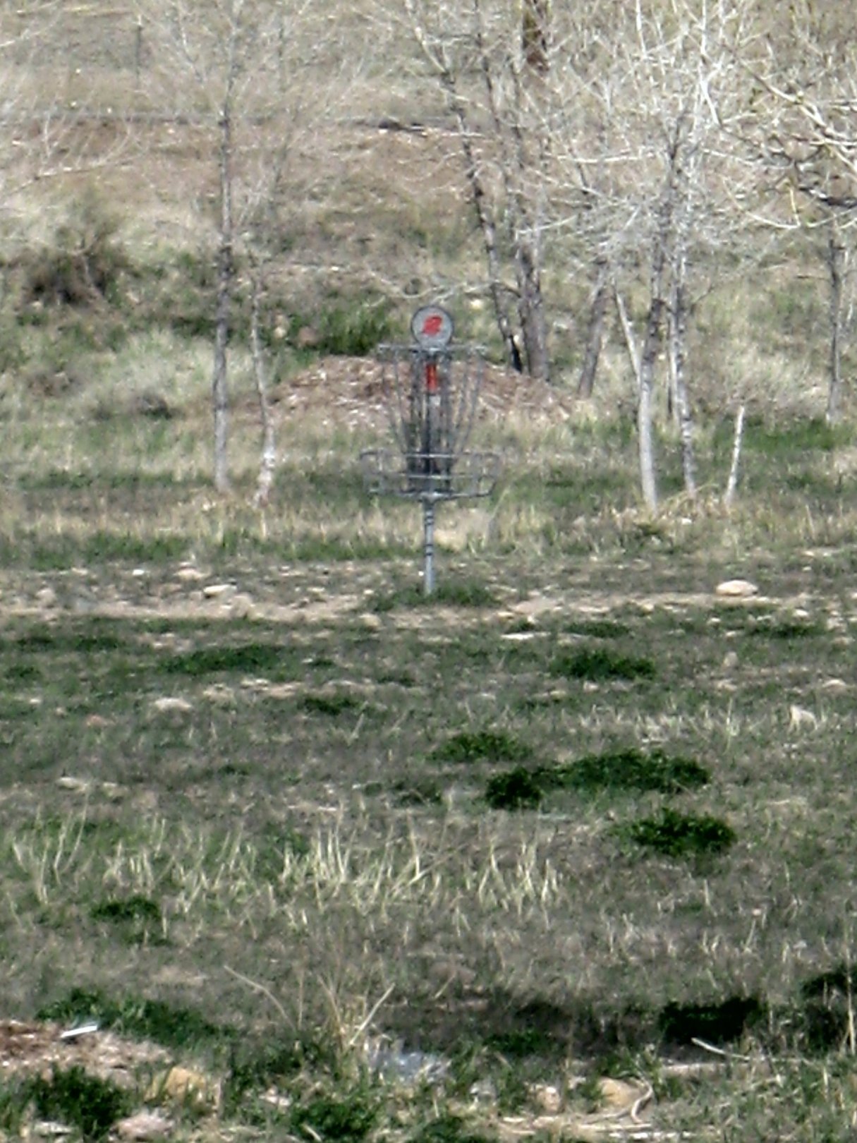 Hole 2 • Bird's Nest Disc Park (Arvada, CO) Disc Golf Courses Disc