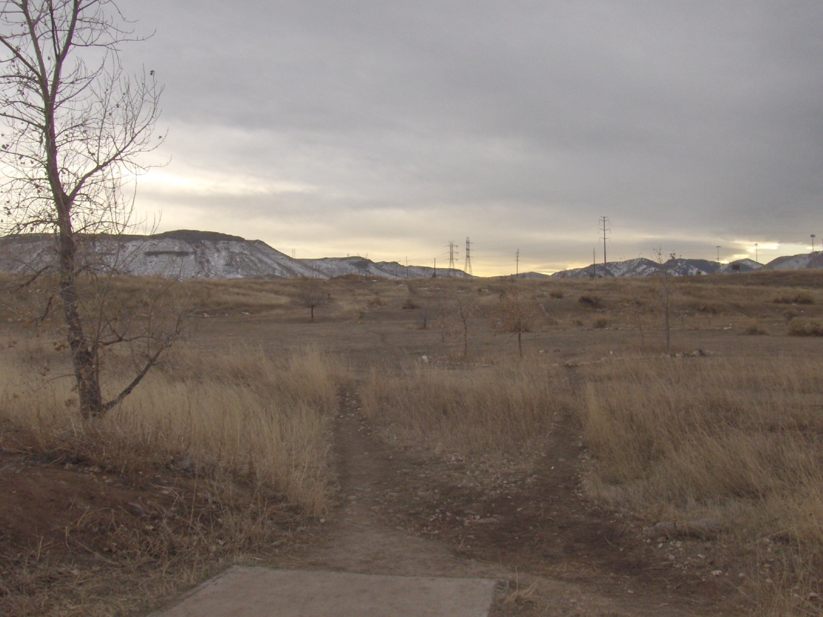 Hole 17 • Bird's Nest Disc Park (Arvada, CO) Disc Golf Courses Disc