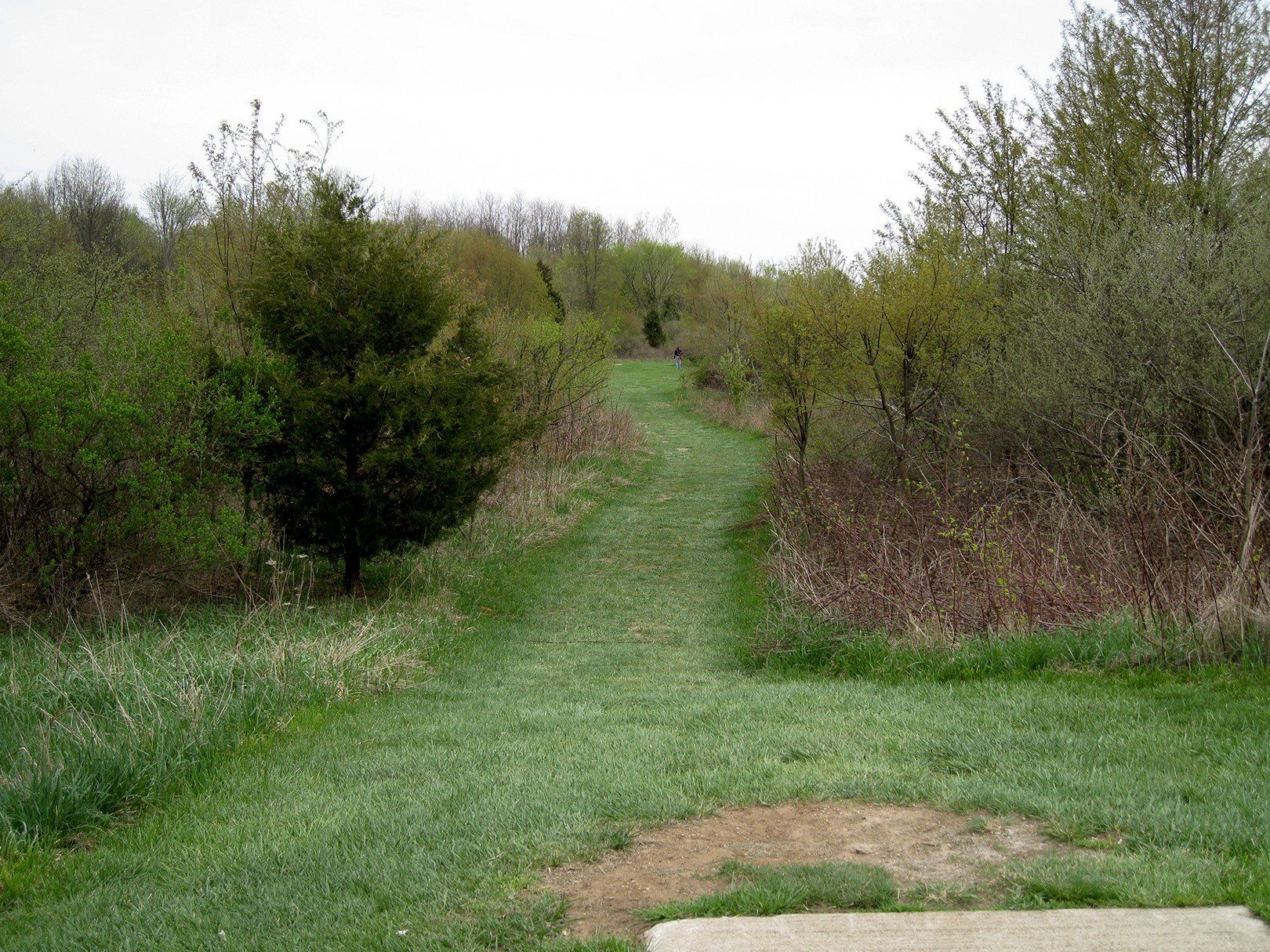 Hole 14 • Monster course / Hudson Mills Metropark (Dexter, MI) Disc