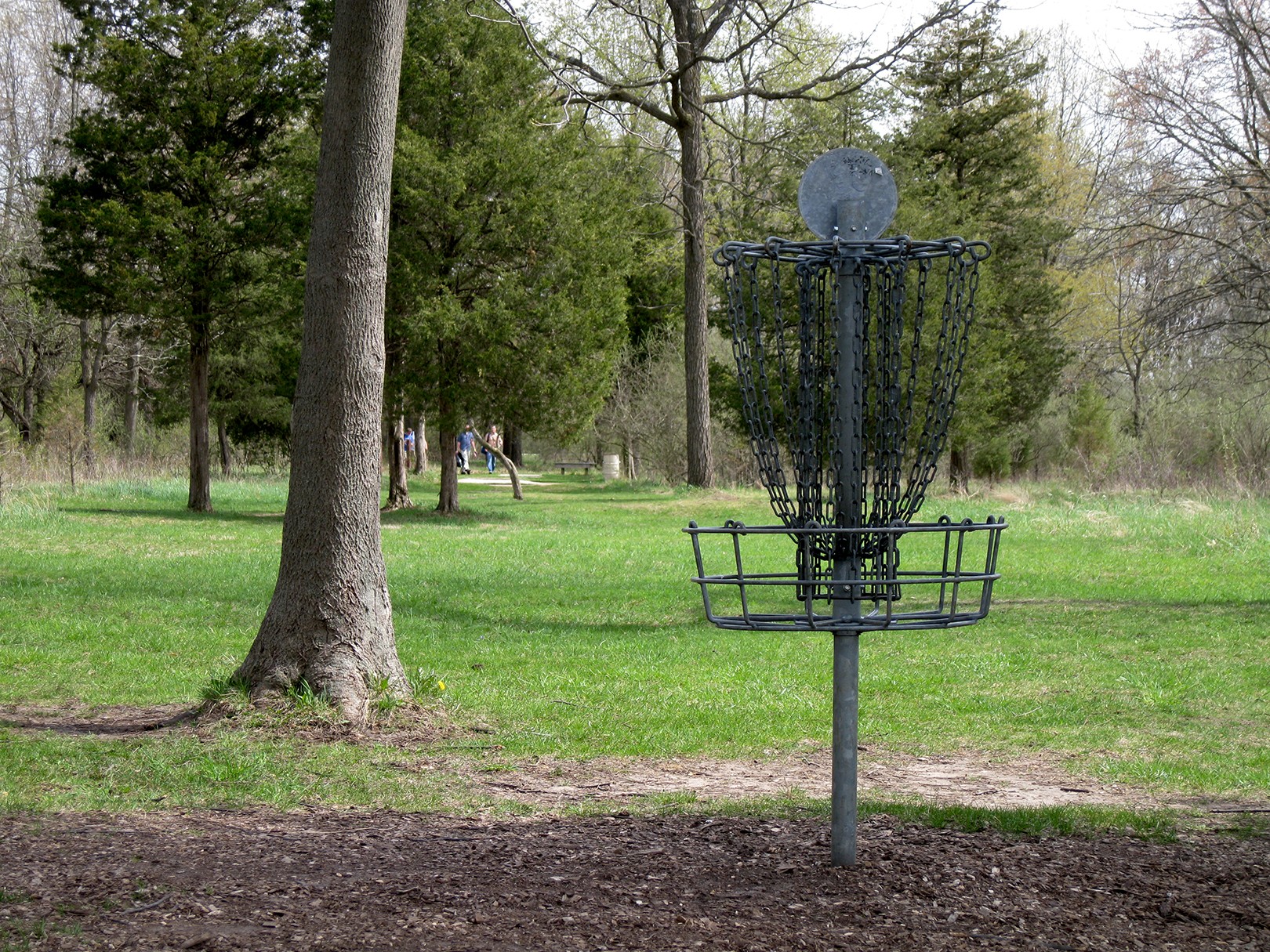 Hole 12 • Monster course / Hudson Mills Metropark (Dexter, MI) Disc