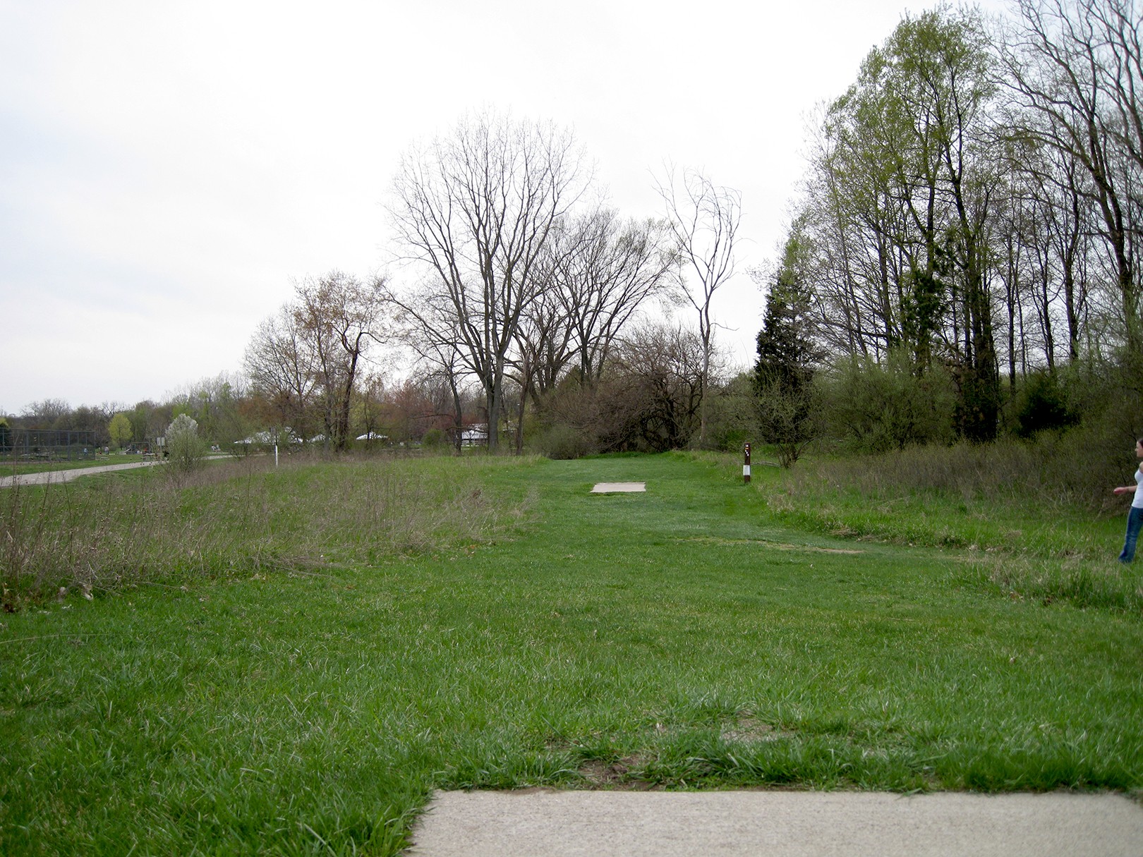 Hole 18 • Monster course / Hudson Mills Metropark (Dexter, MI) Disc