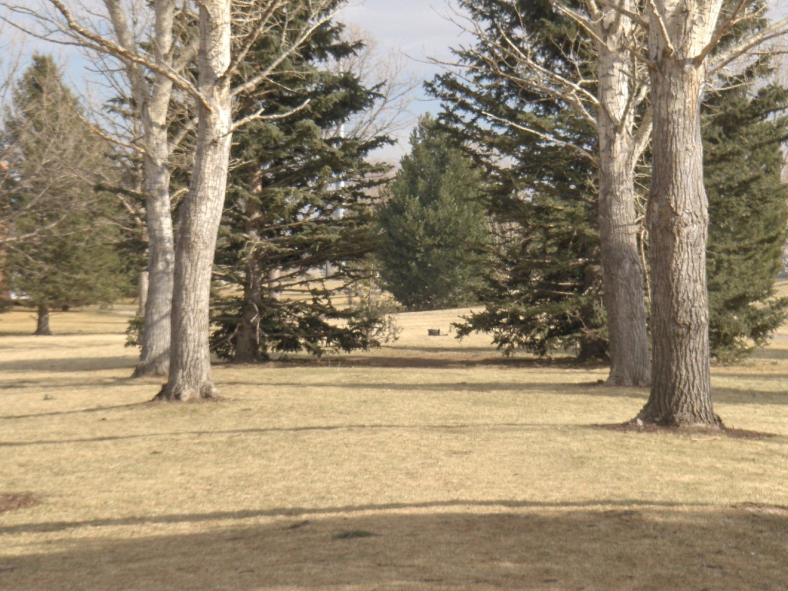 Hole 4 • Edora Park (Fort Collins, CO) Disc Golf Courses Disc Golf