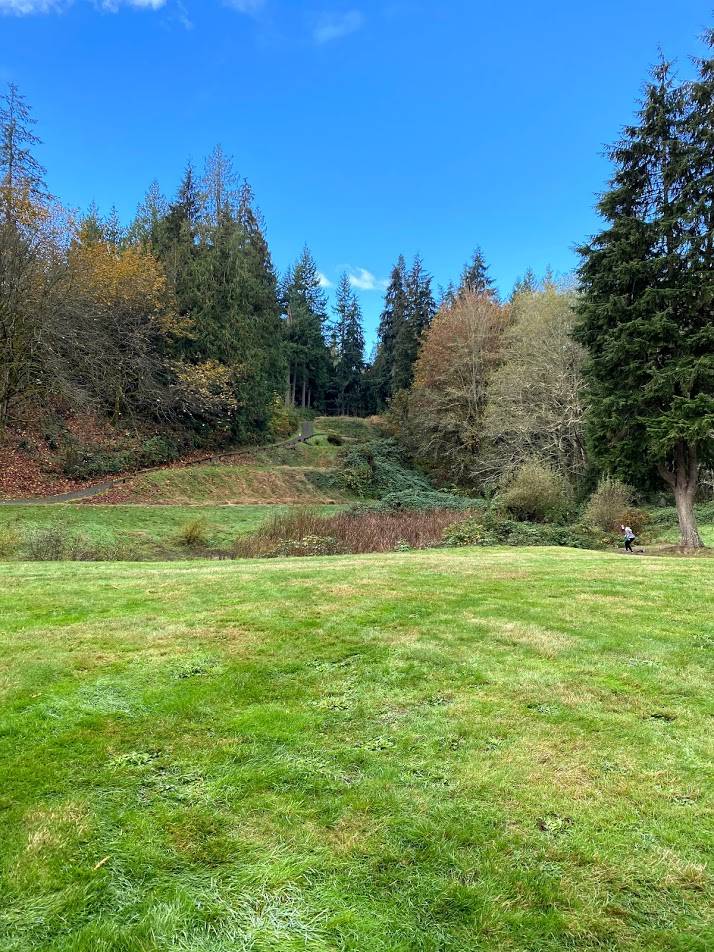 Hole 3 • Red course / Kayak Point Disc Golf Resort (Stanwood, WA) Disc Golf Courses Disc