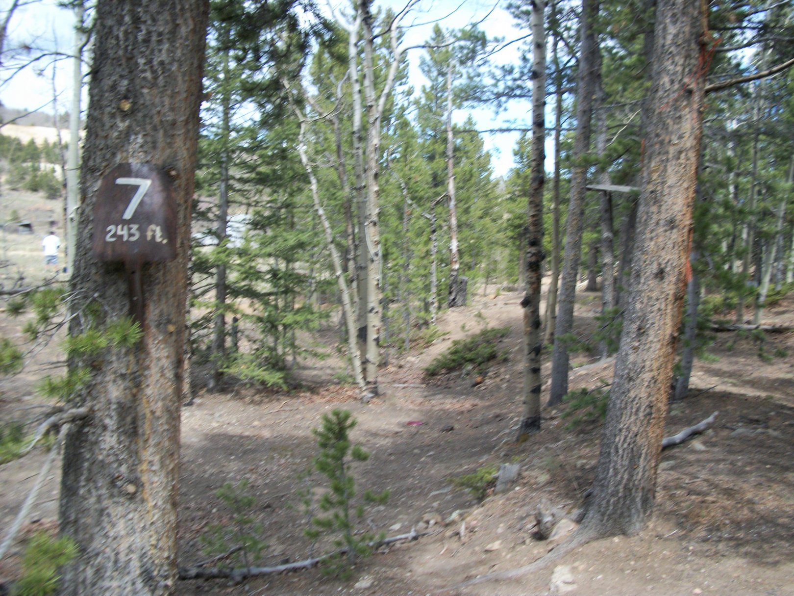 Hole 7 • Ghost Town (Russell Gulch, CO) Disc Golf Courses Disc Golf