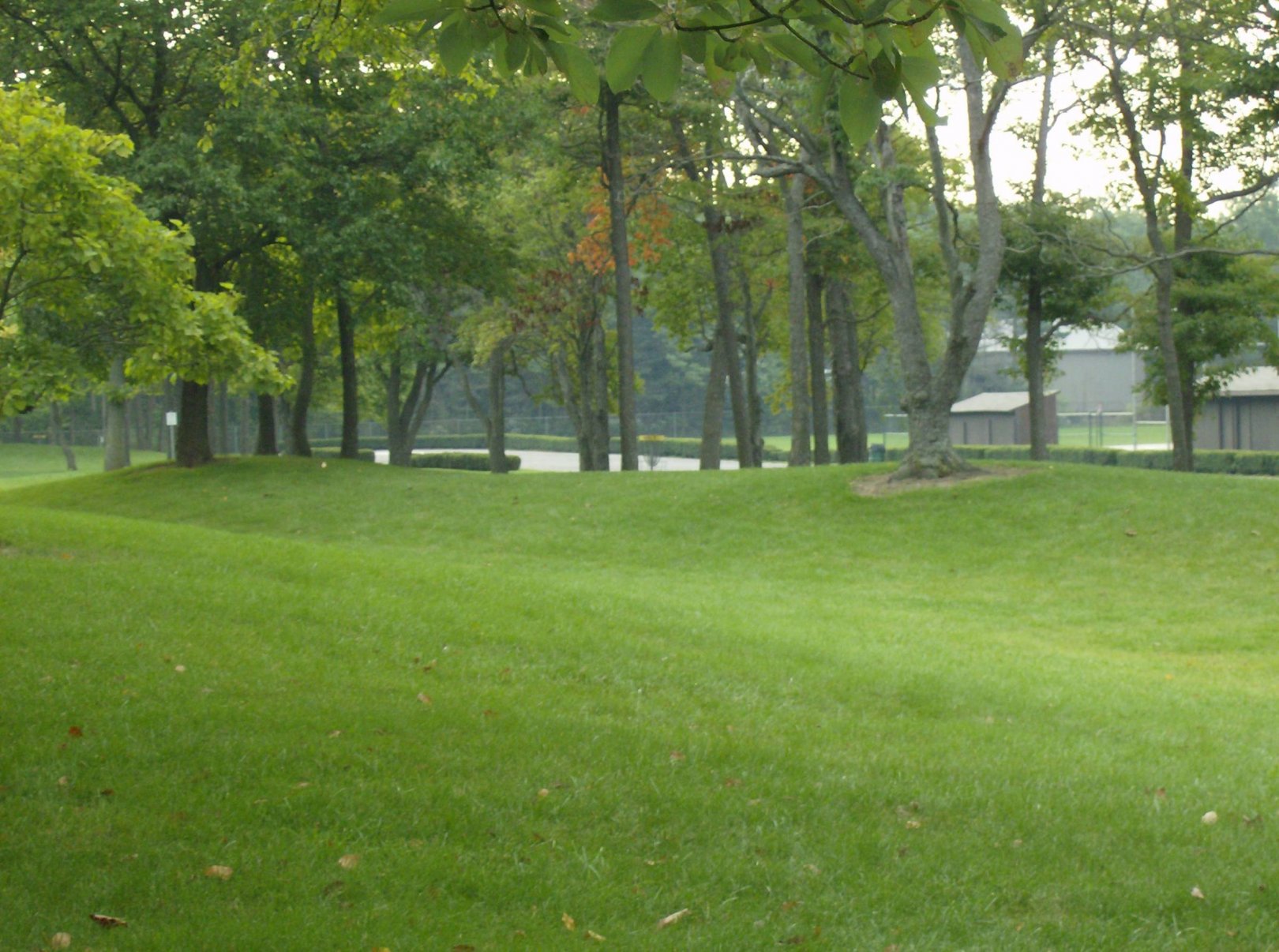 Hole 1 • Lake Township Park (Bridgman, MI) Disc Golf Courses Disc