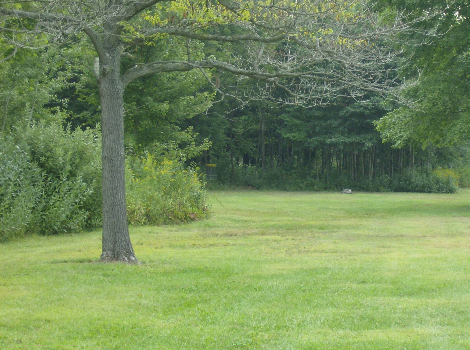 Hole 10 • Lake Township Park (Bridgman, MI) Disc Golf Courses Disc