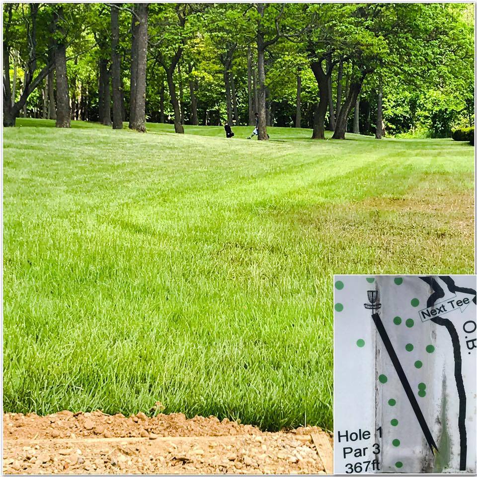 Hole 1 • Lake Township Park (Bridgman, MI) Disc Golf Courses Disc