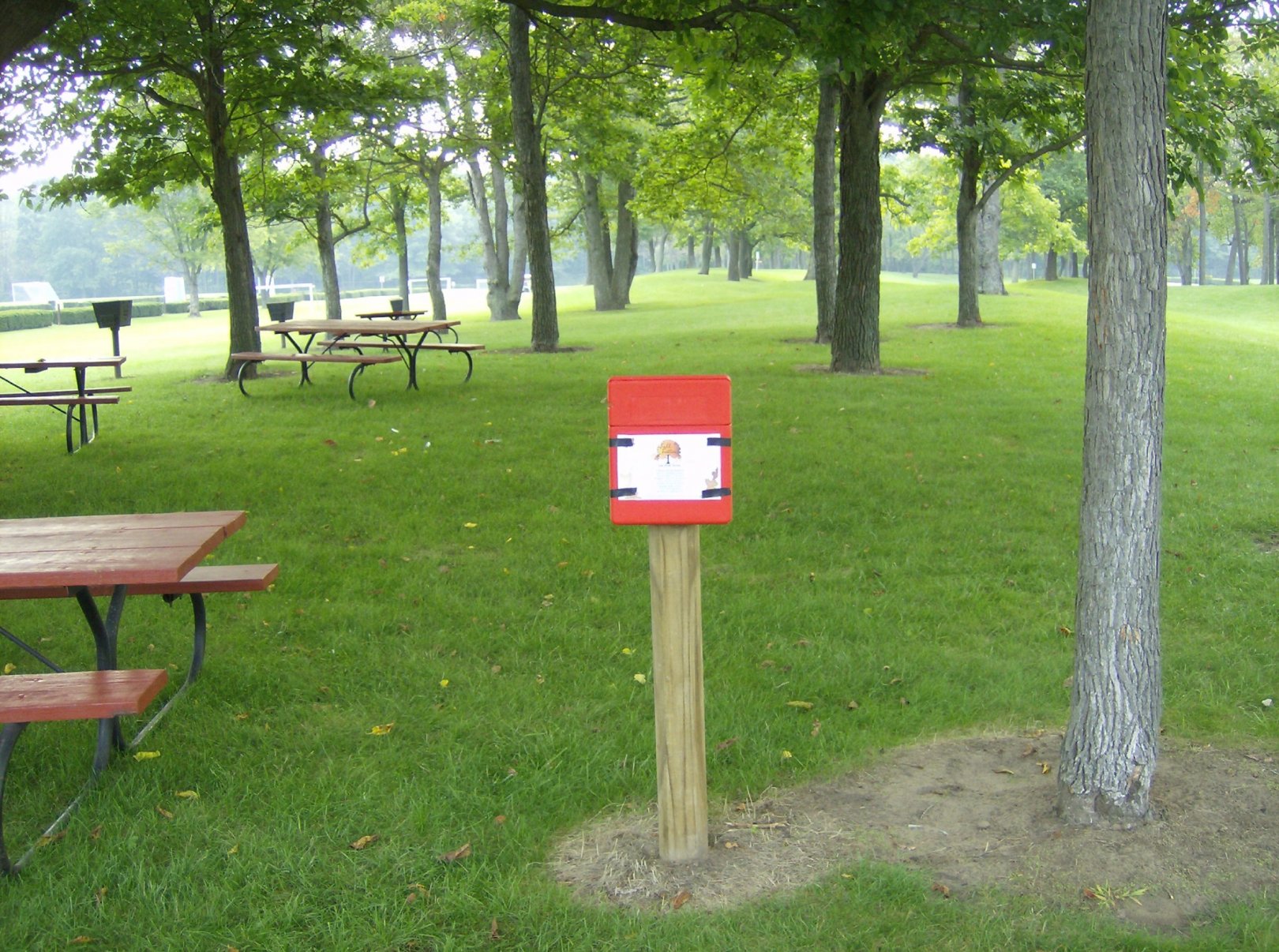 Hole 1 • Lake Township Park (Bridgman, MI) Disc Golf Courses Disc