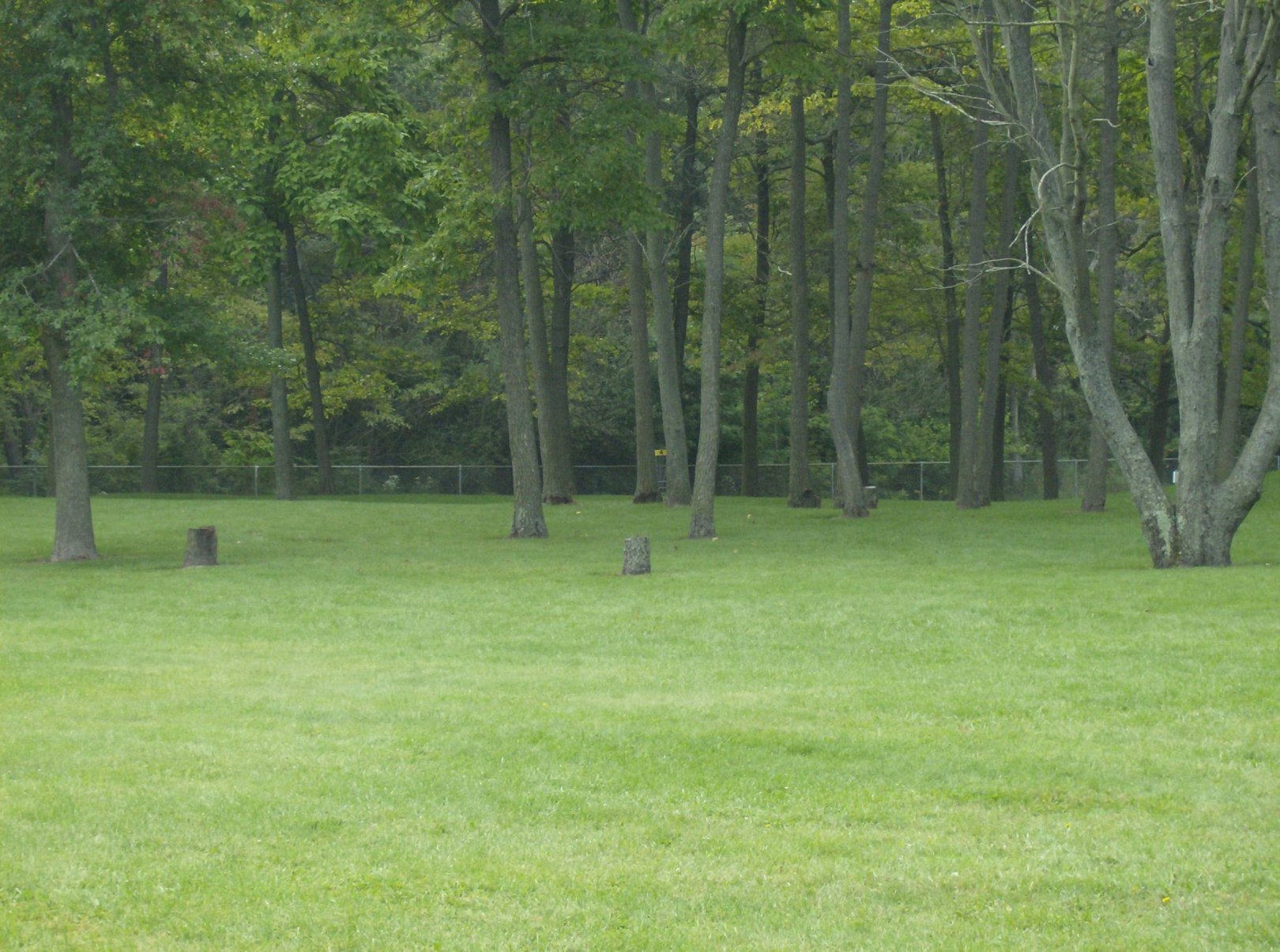 Hole 4 • Lake Township Park (Bridgman, MI) Disc Golf Courses Disc