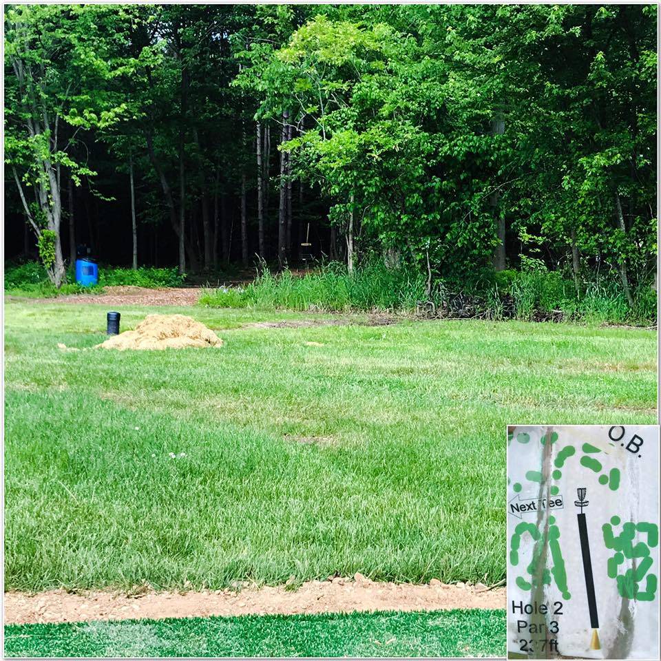 Hole 2 • Lake Township Park (Bridgman, MI) Disc Golf Courses Disc