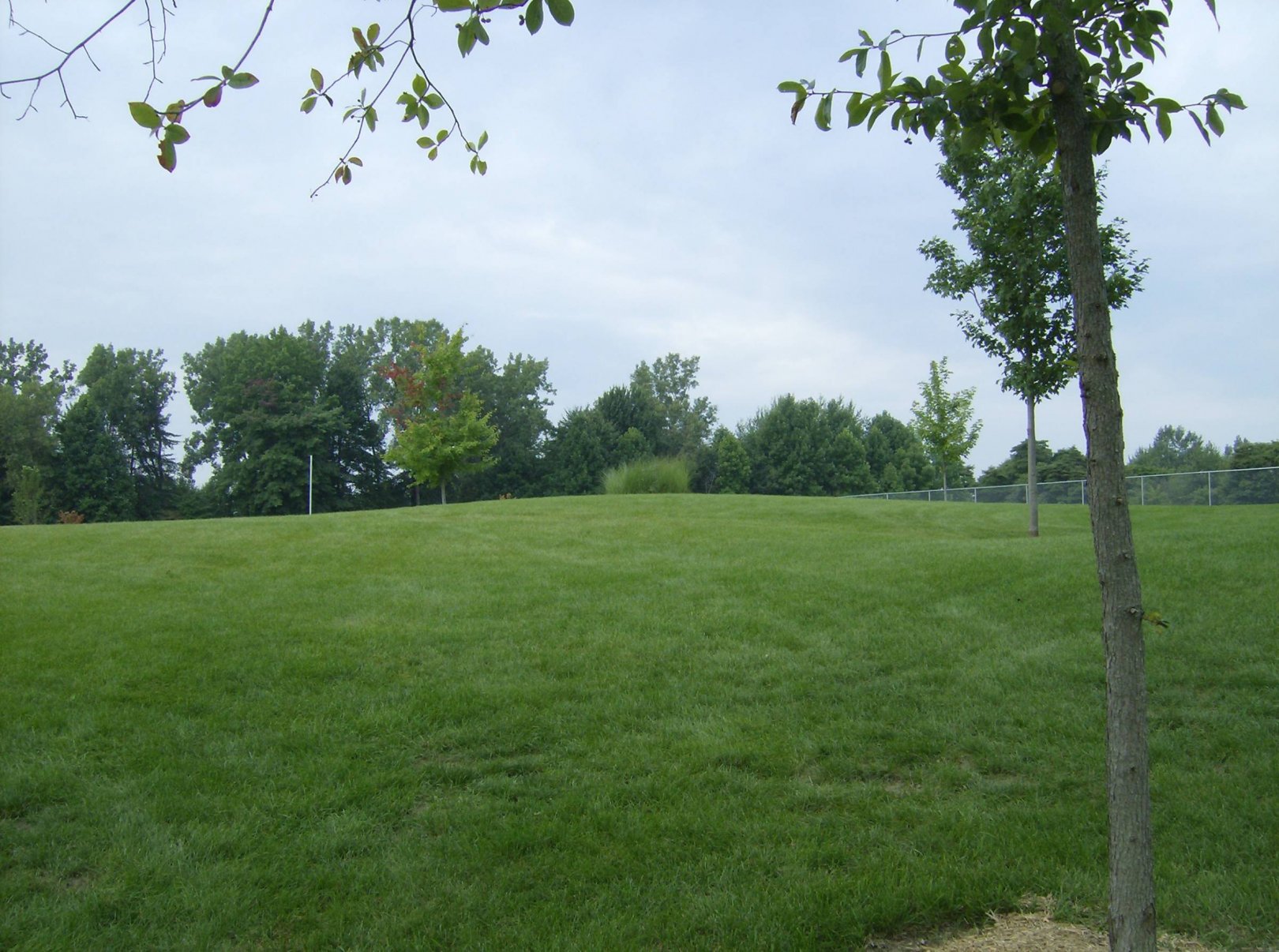 Hole 16 • Lake Township Park (Bridgman, MI) Disc Golf Courses Disc