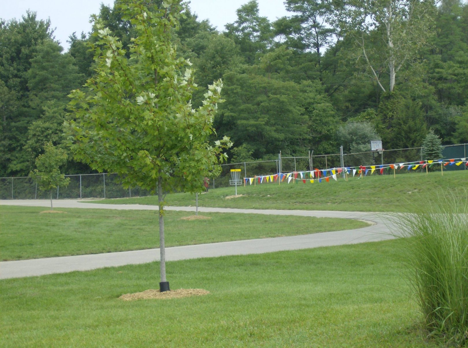 Hole 15 • Lake Township Park (Bridgman, MI) Disc Golf Courses Disc