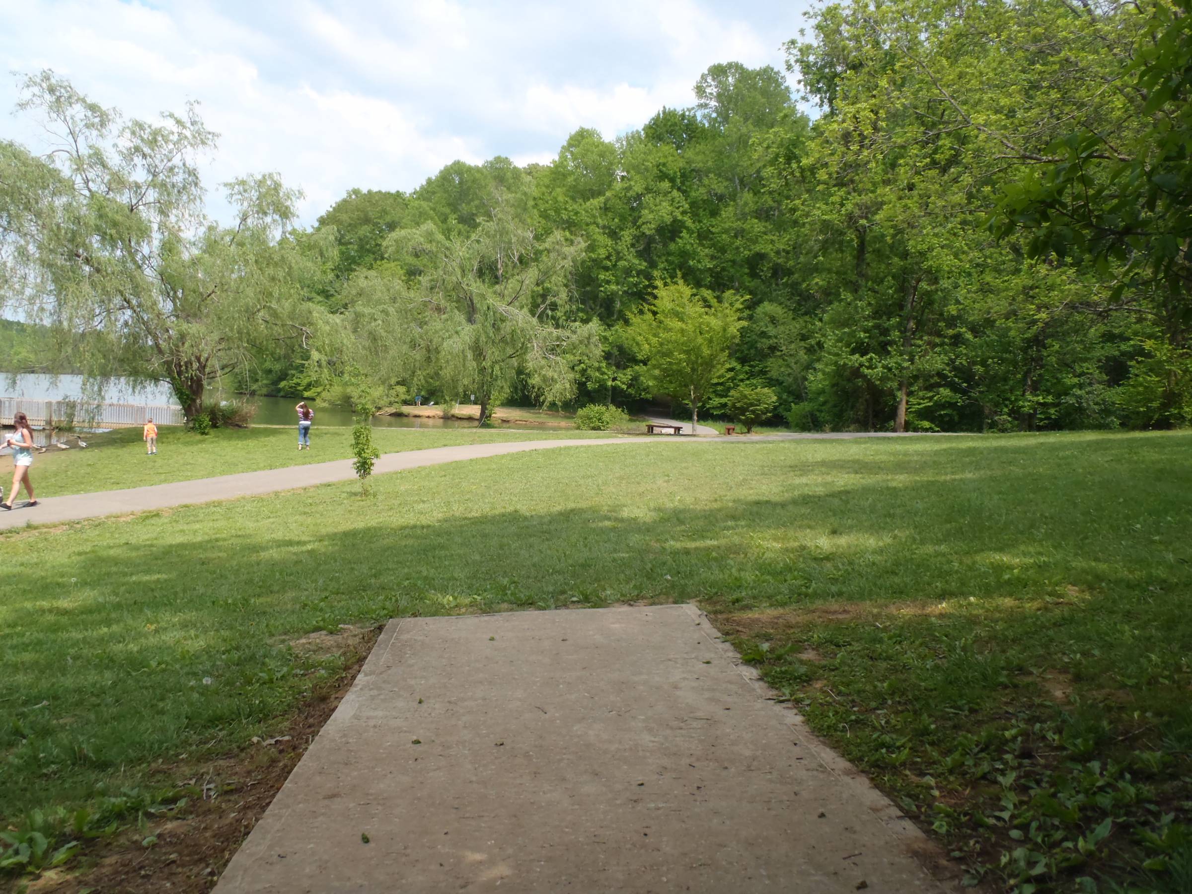 Hole 16 • Cane Creek Park (Cookeville, TN) Disc Golf Courses Disc