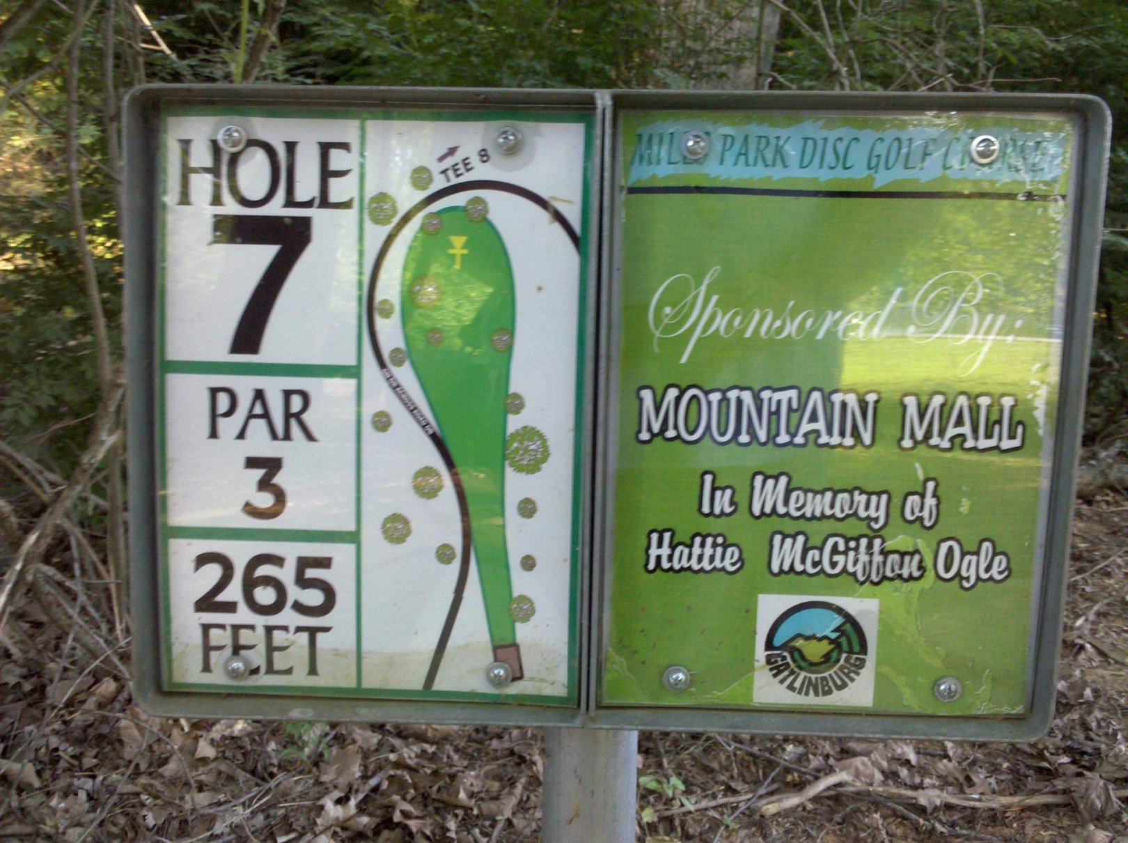 Hole 7 • Mills Park (Gatlinburg, TN) Disc Golf Courses Disc Golf Scene