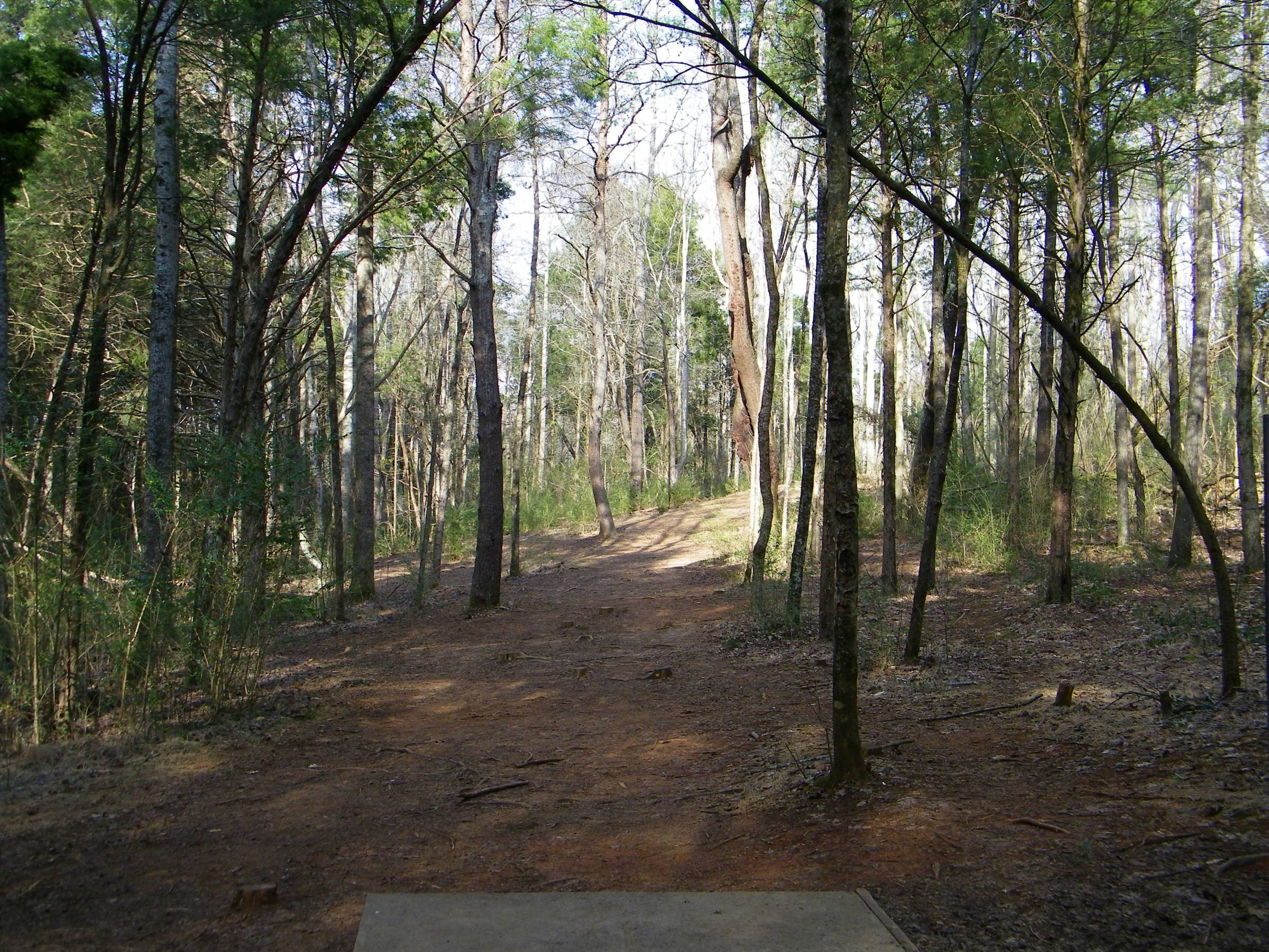 Hole 11 • Warriors Path State Park (Kingsport, TN) Disc Golf Courses