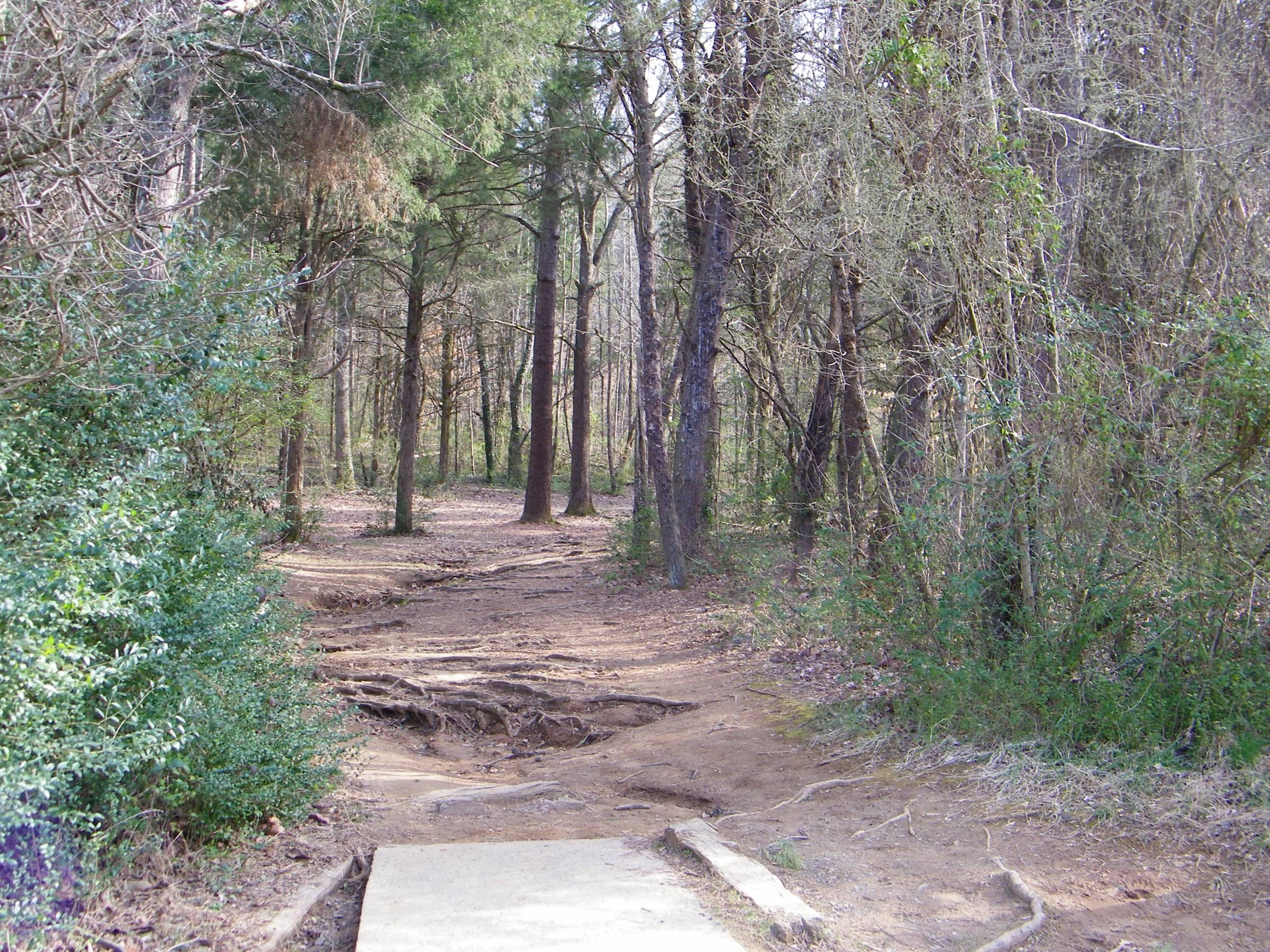 Hole 7 • Warriors Path State Park (Kingsport, TN) Disc Golf Courses