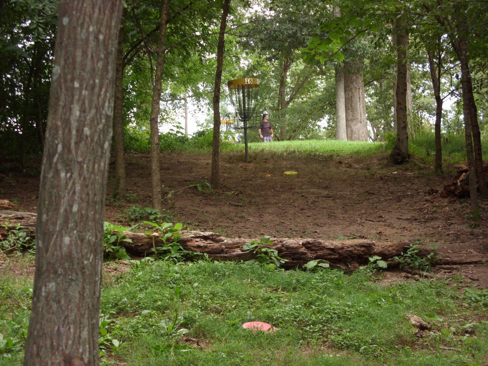 Hole 18 • Victor Ashe Park (Knoxville, TN) Disc Golf Courses Disc Golf Scene