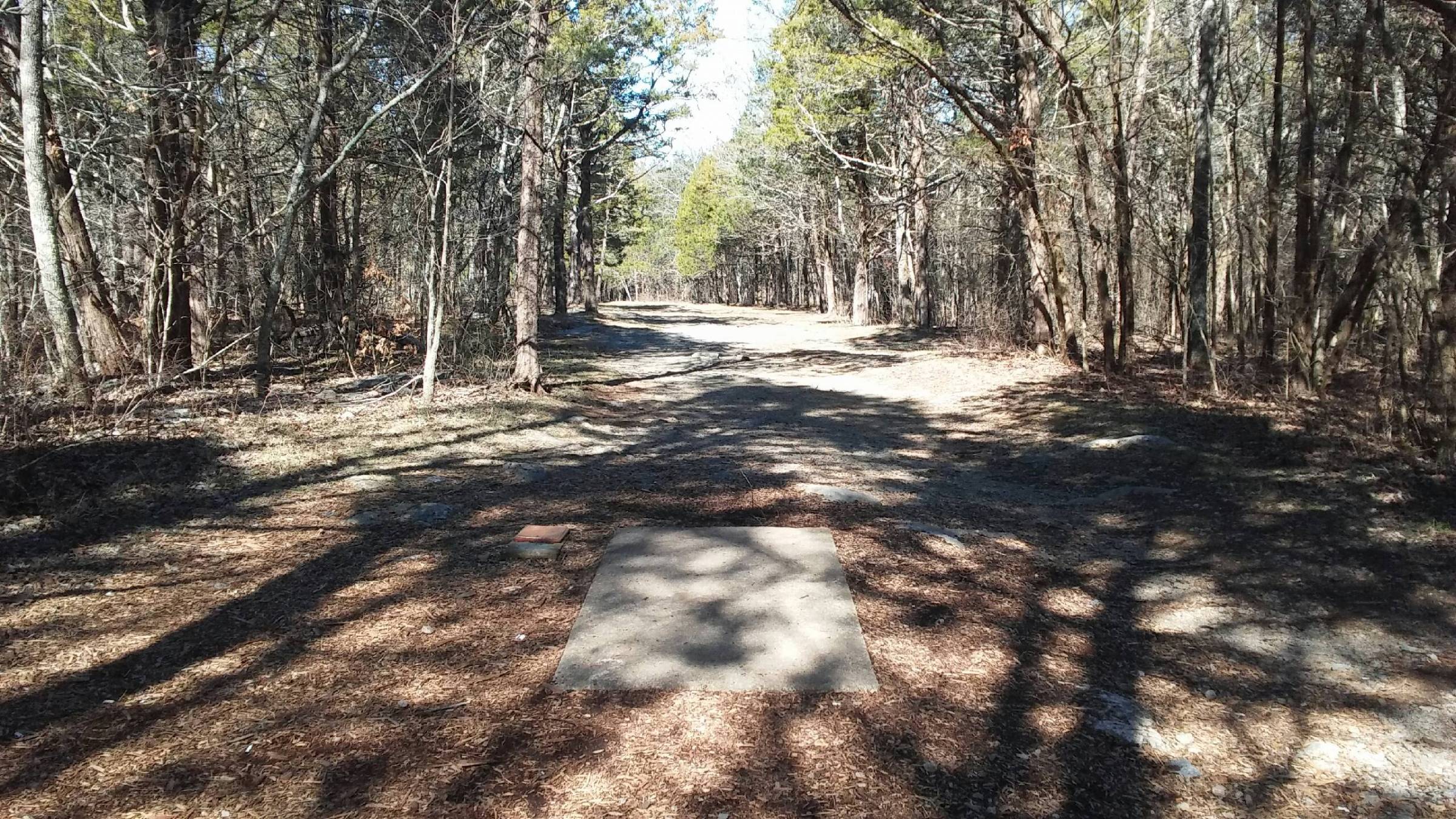 Hole 2 • Cedars of Lebanon State Park (Lebanon (Bairds Mills), TN