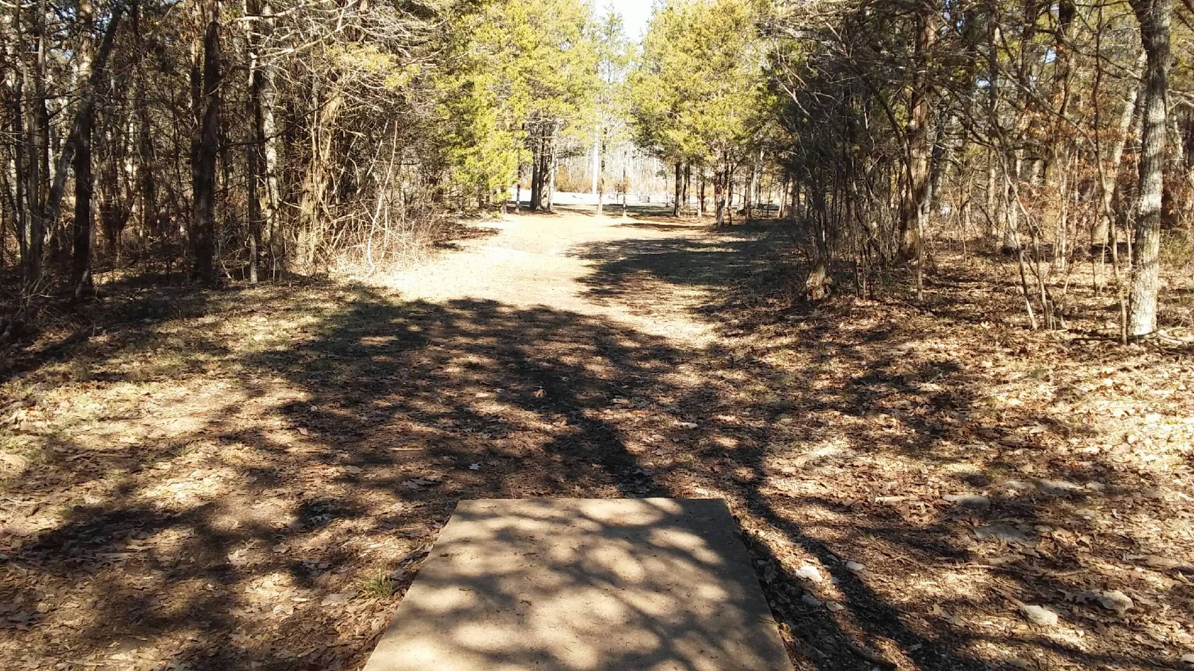 Hole 13 • Cedars of Lebanon State Park (Lebanon (Bairds