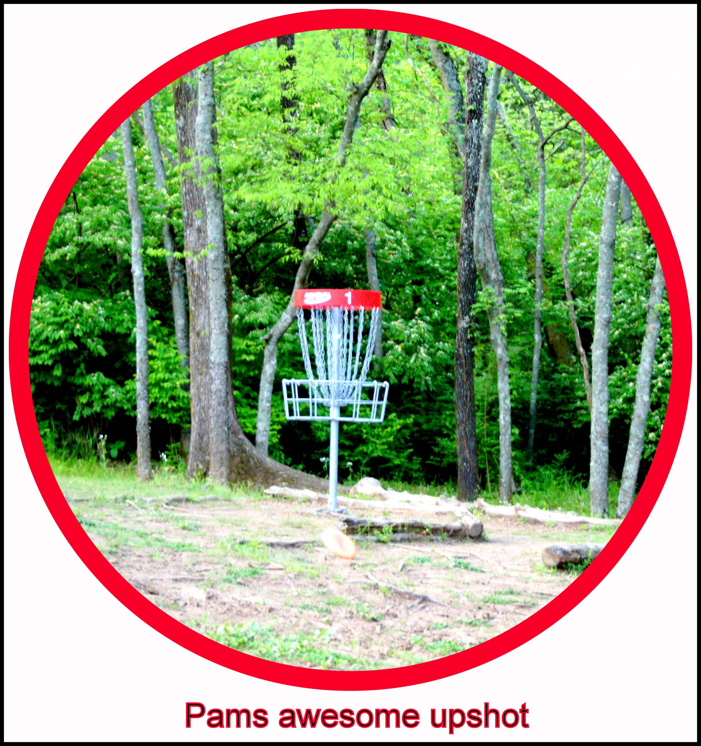 Hole 1 • Cedar Hill Park (Nashville, TN) Disc Golf Courses Disc Golf Scene
