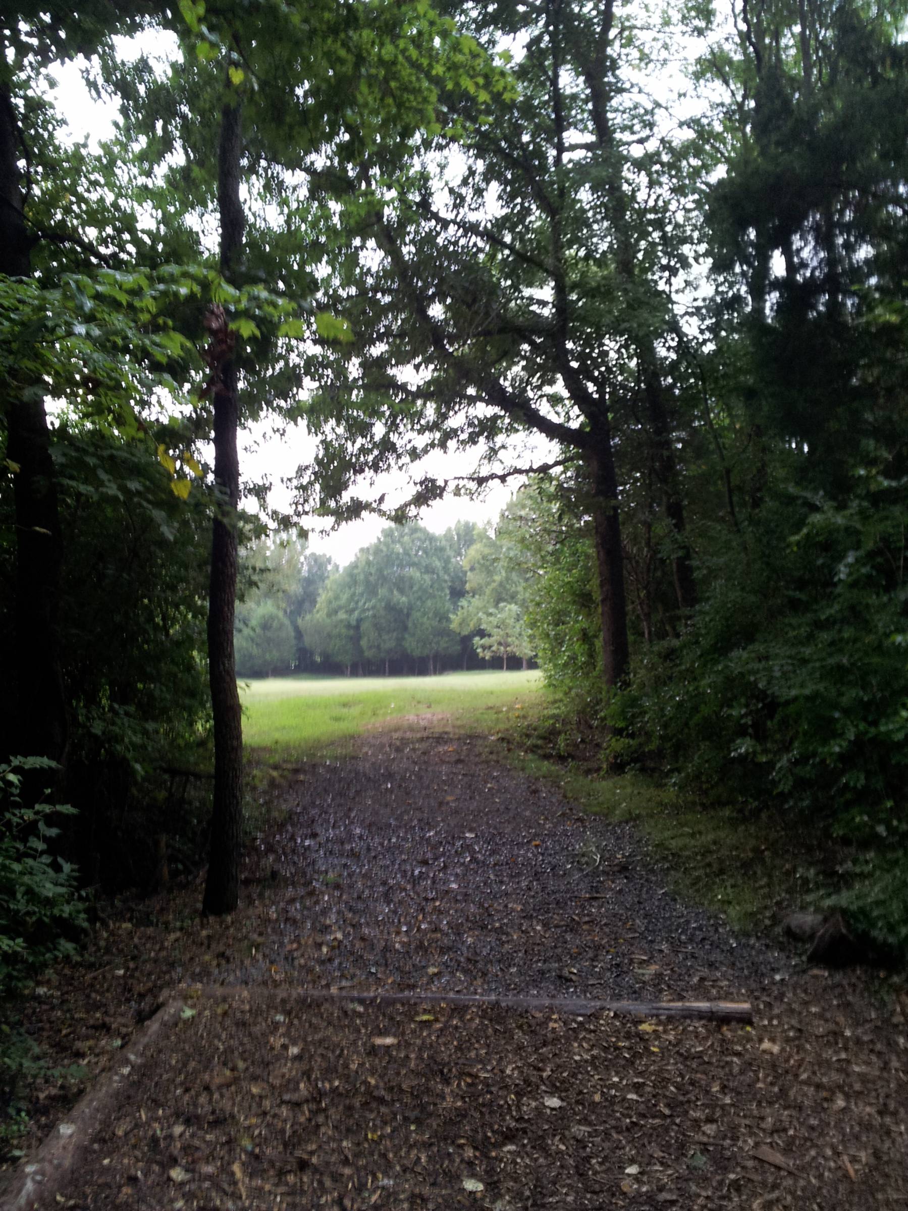 Hole 18 • Cedar Hill Park (Nashville, TN) Disc Golf Courses Disc