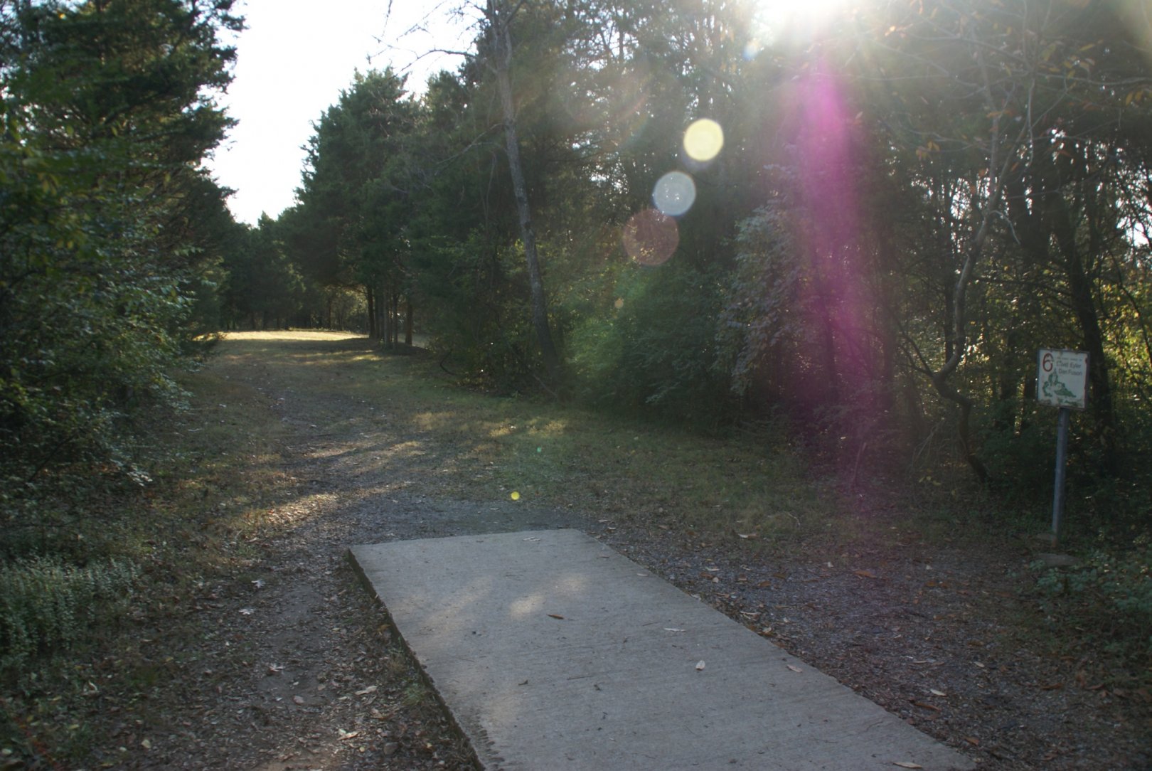 Hole 6 • Cedar Hill Park (Nashville, TN) Disc Golf Courses Disc