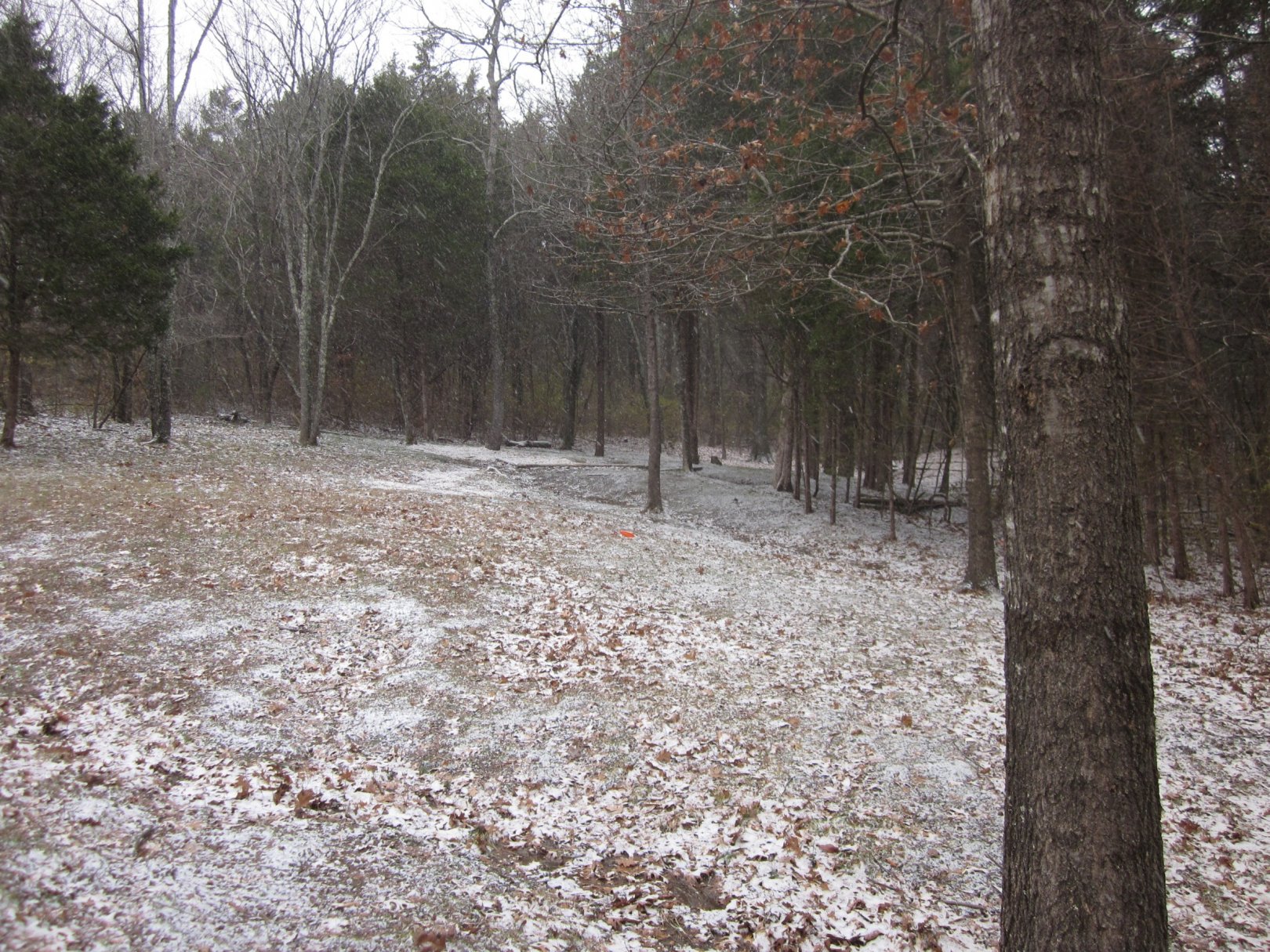 Hole 2 • Cedar Hill Park (Madison, TN) Disc Golf Courses Disc Golf