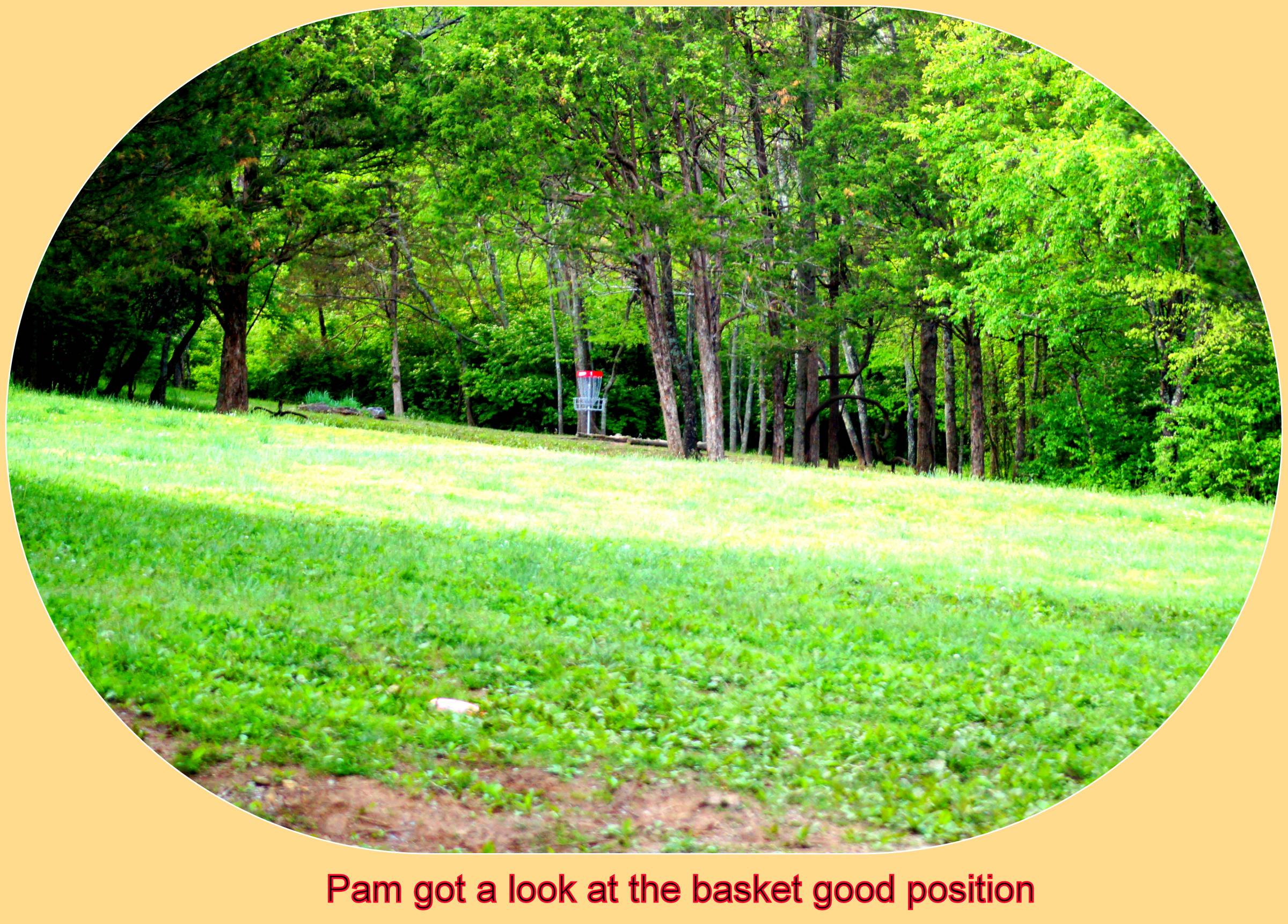 Hole 1 • Cedar Hill Park (Madison, TN) Disc Golf Courses Disc Golf Scene