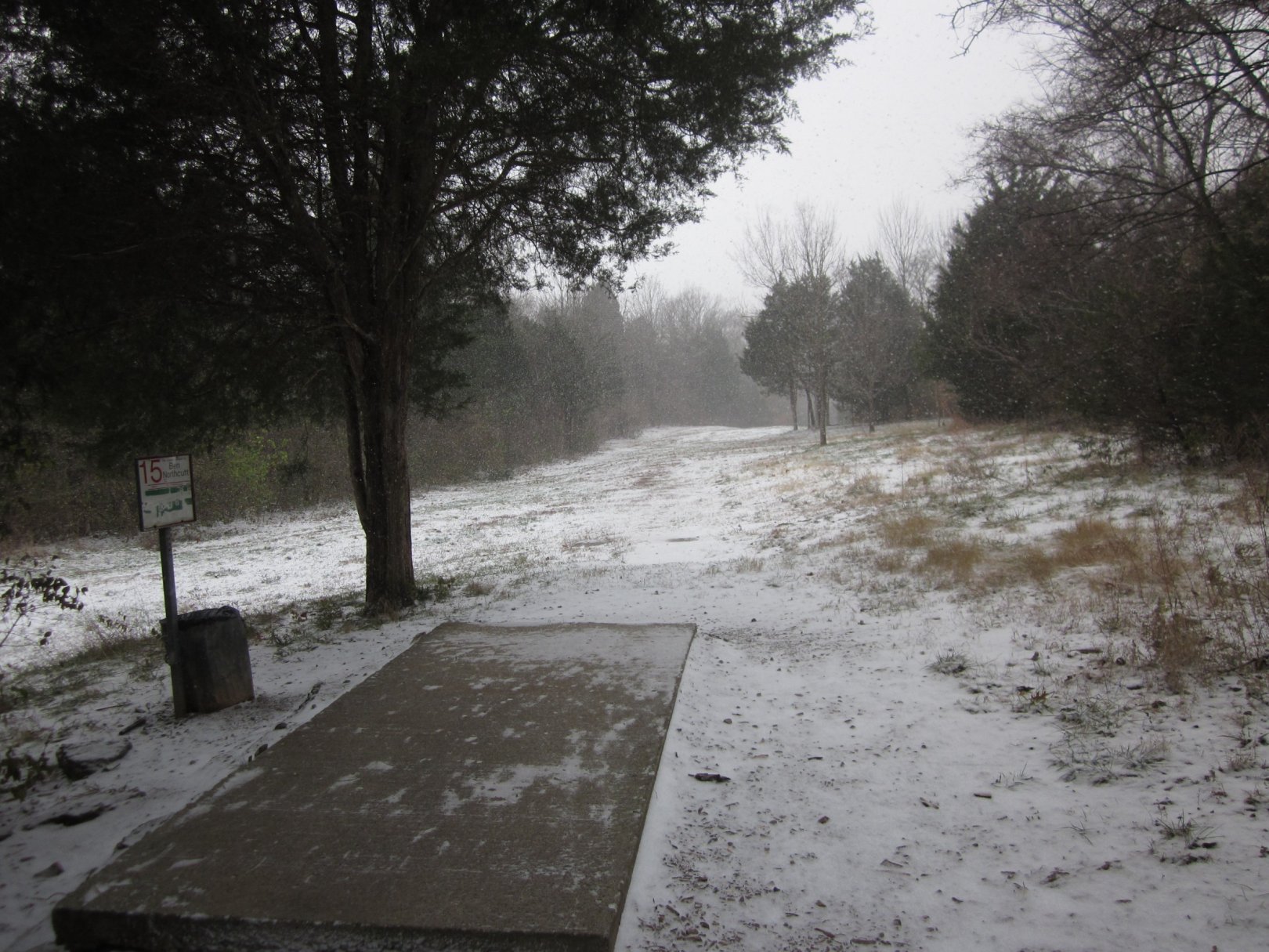 Hole 15 • Cedar Hill Park (Madison, TN) Disc Golf Courses Disc Golf Scene