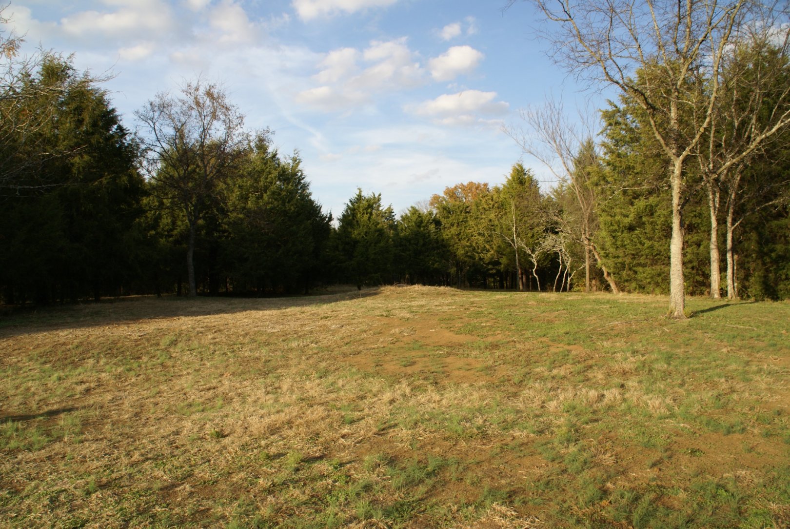 Hole 13 • Cedar Hill Park (Madison, TN) Disc Golf Courses Disc Golf