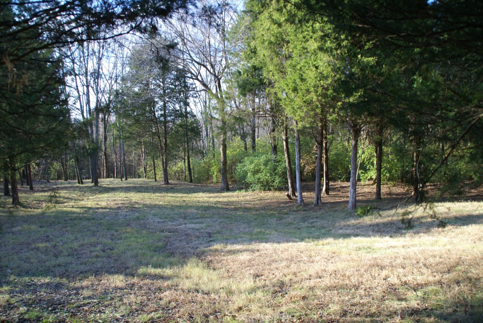 Hole 6 • Cedar Hill Park (Nashville, TN) Disc Golf Courses Disc Golf Scene