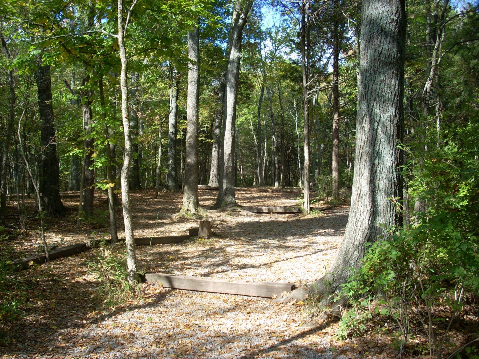 Hole 20 • Seven Oaks (Nashville, TN) Disc Golf Courses Disc Golf Scene