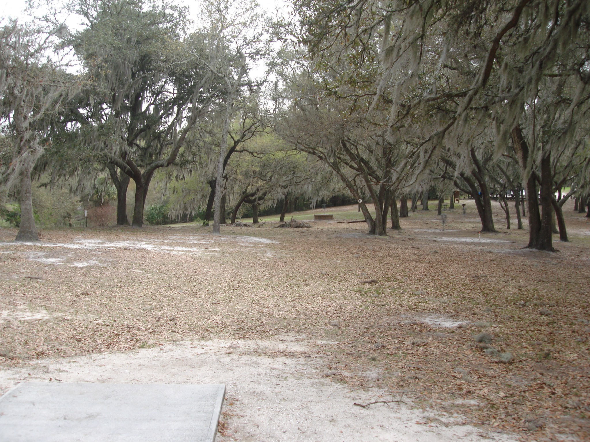 Hole 4 • Limona (Brandon, FL) Disc Golf Courses Disc Golf Scene