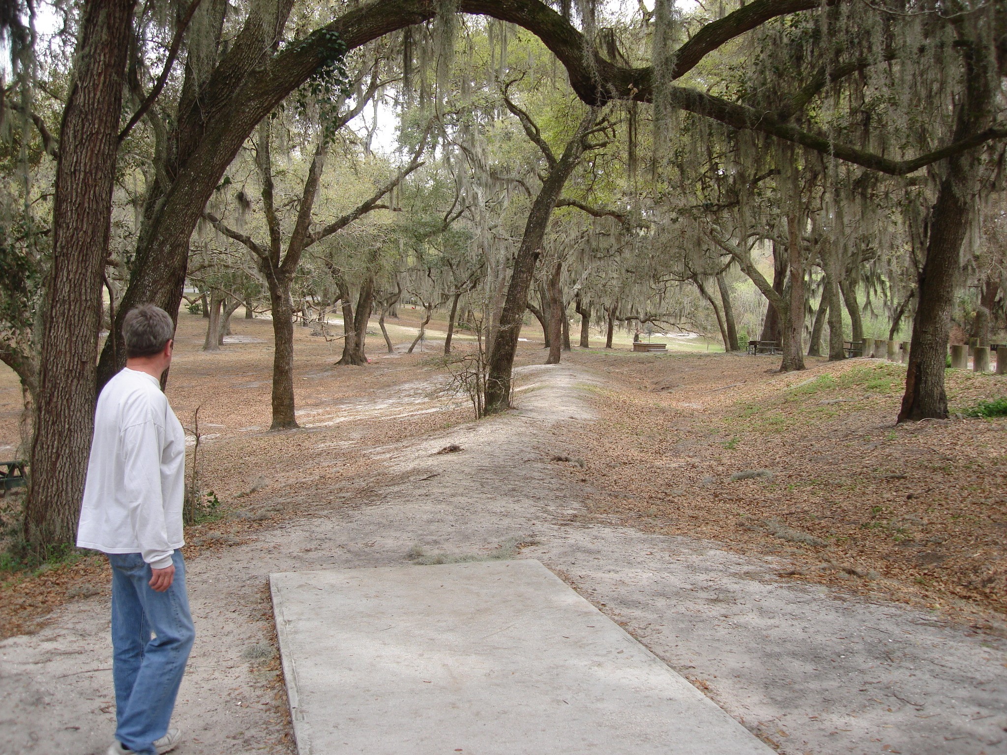 Hole 3 • Limona (Brandon, FL) Disc Golf Courses Disc Golf Scene