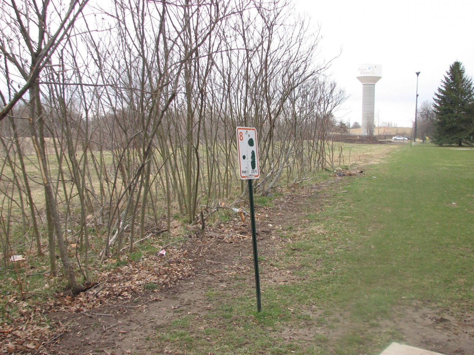 Hole 8 • Lincoln Park (Charlotte, MI) Disc Golf Courses Disc Golf Scene
