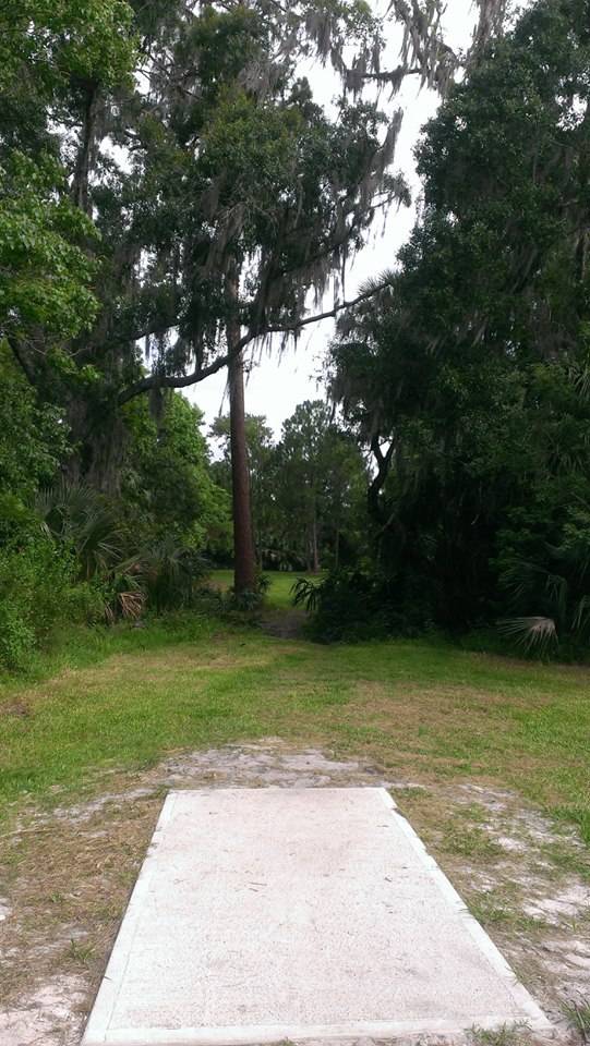 Hole 2 • River City Nature Park (DeBary, FL) Disc Golf Courses Disc
