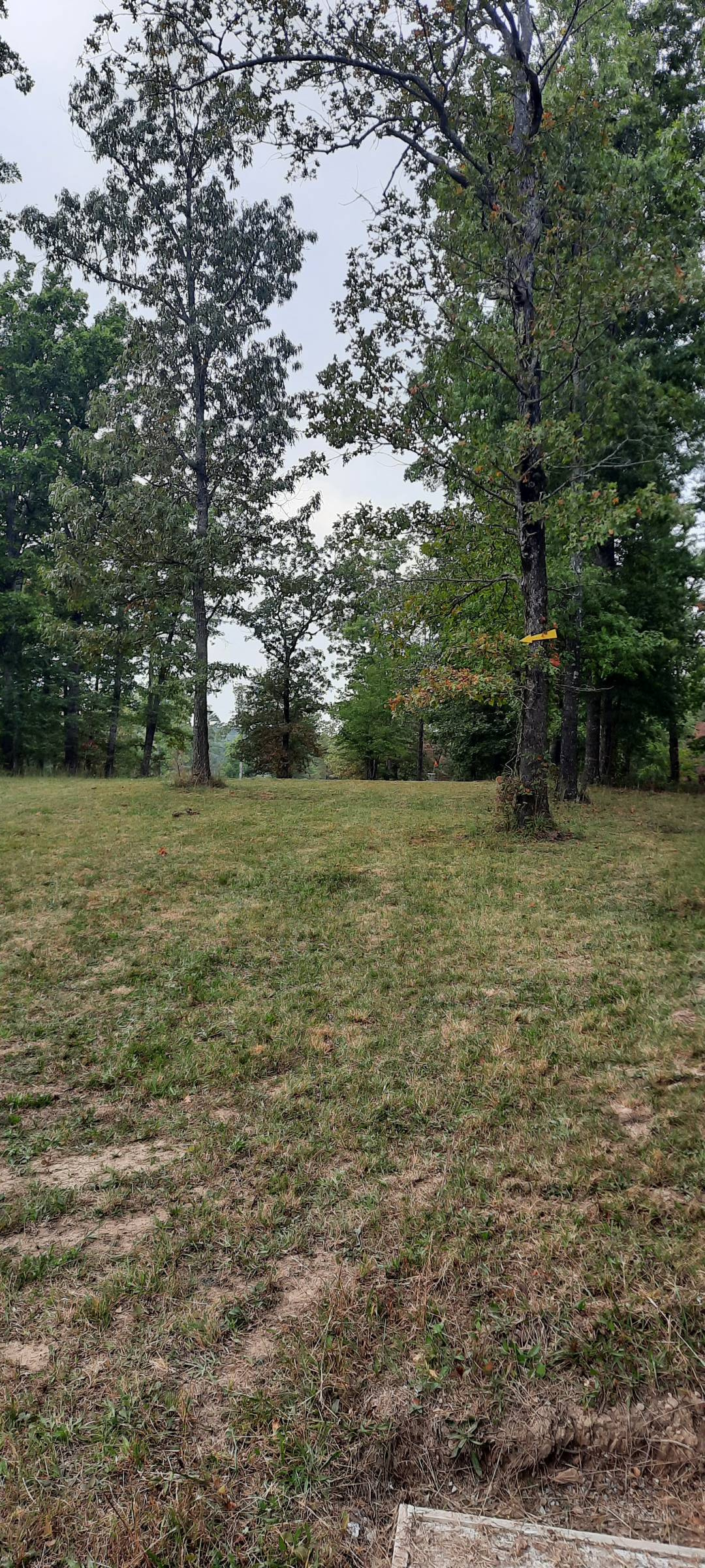 Hole 8 • Meadow Park Lake (Crossville, TN) Disc Golf Courses Disc