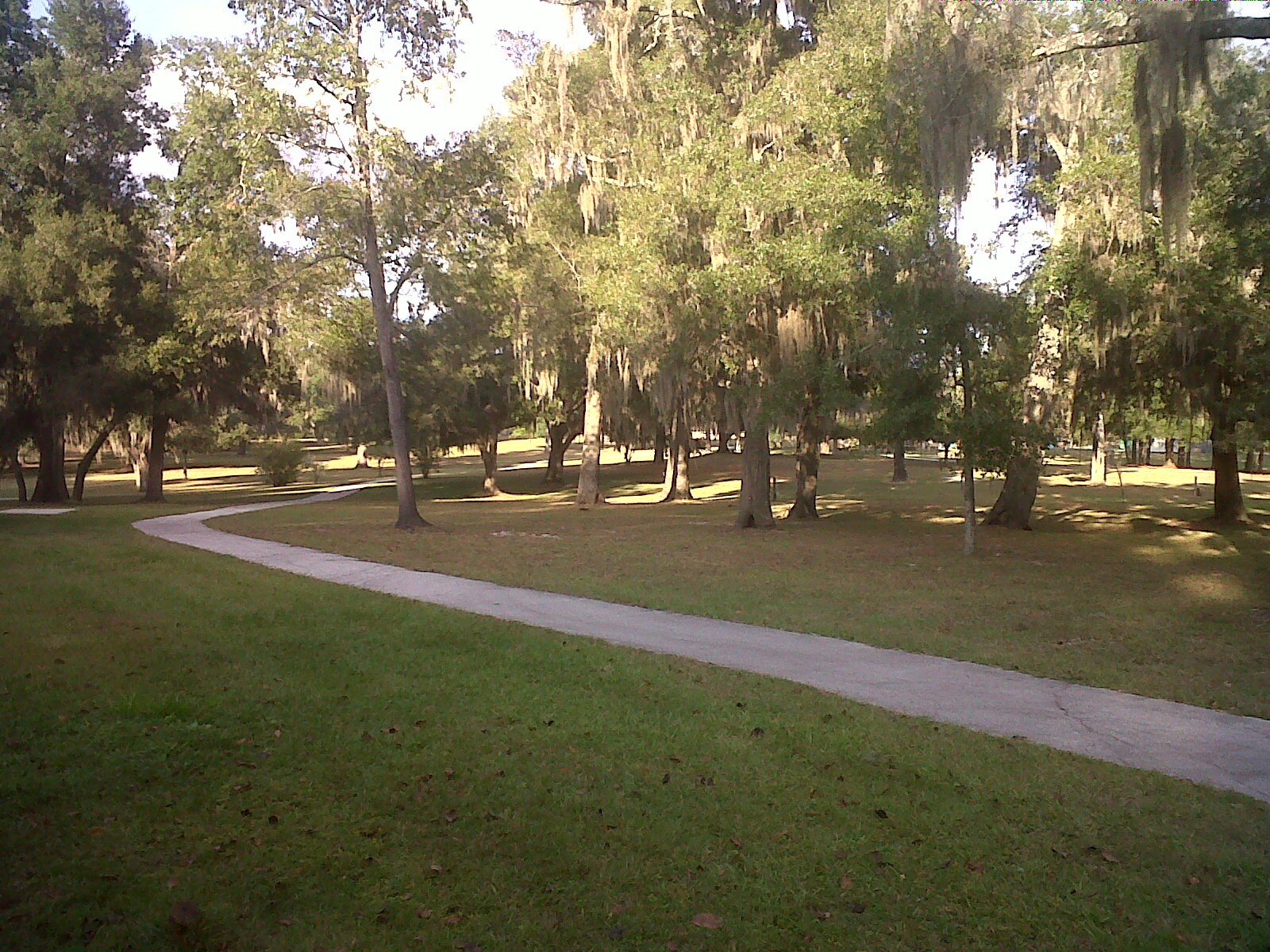 Hole 15 • Floral Park (Floral City, FL) Disc Golf Courses Disc Golf