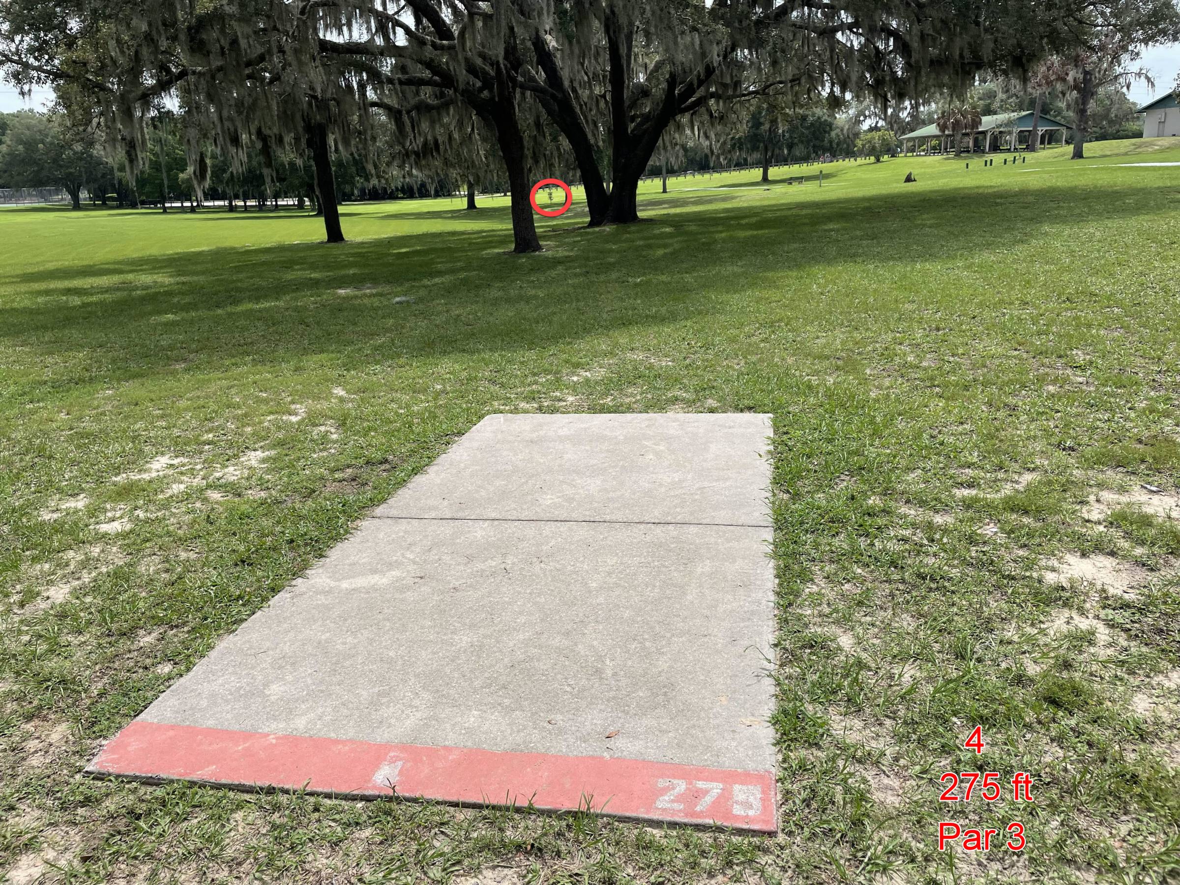 Hole 4 • Floral Park (Floral City, FL) Disc Golf Courses Disc Golf