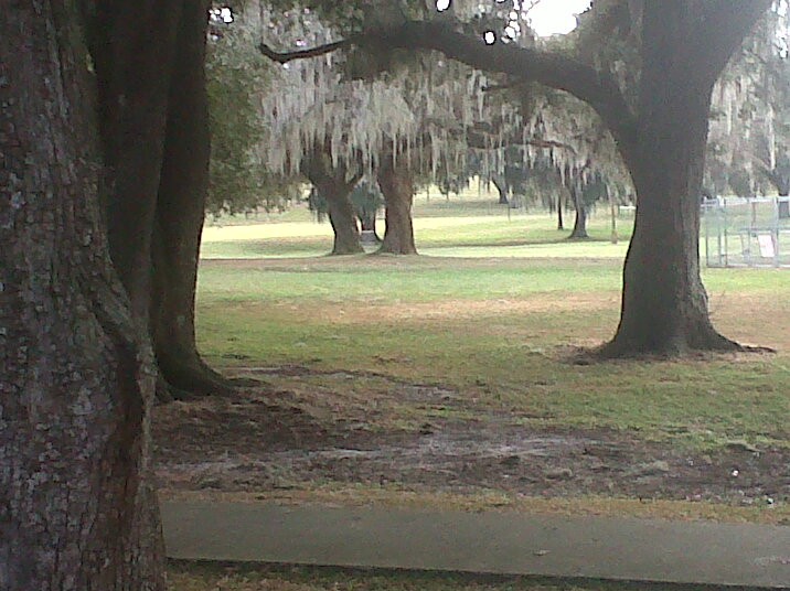 Hole 1 • Floral Park (Floral City, FL) Disc Golf Courses Disc Golf